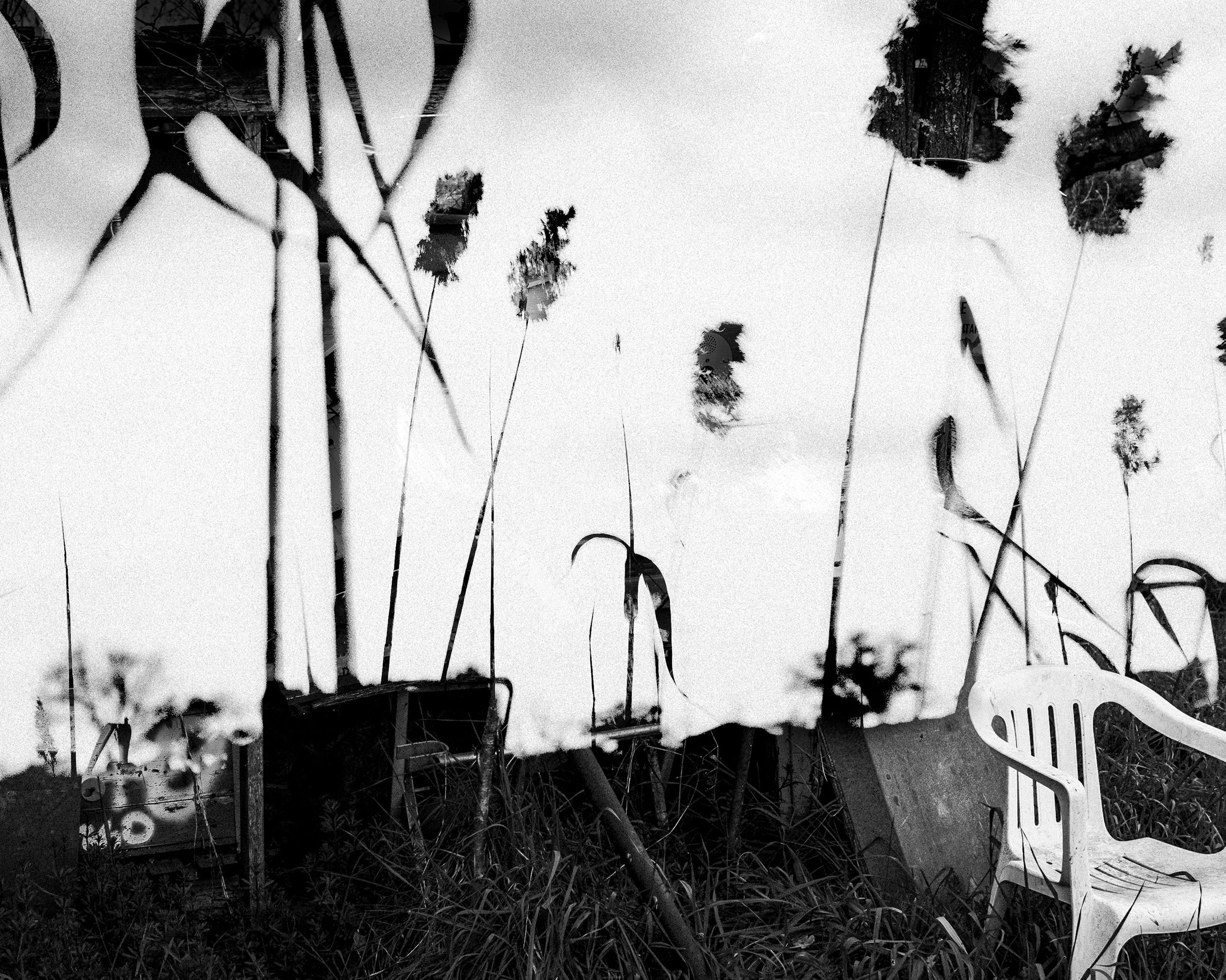 Fine Art. W LAB 192 | Davide Vichi