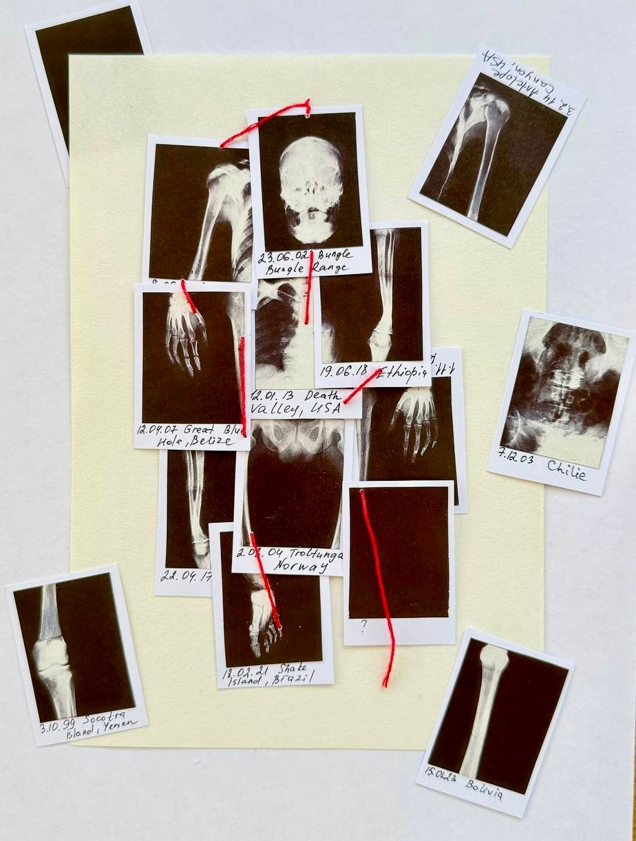 Collages. Natalia Naletova — artist and researcher working with textile, collage & memory