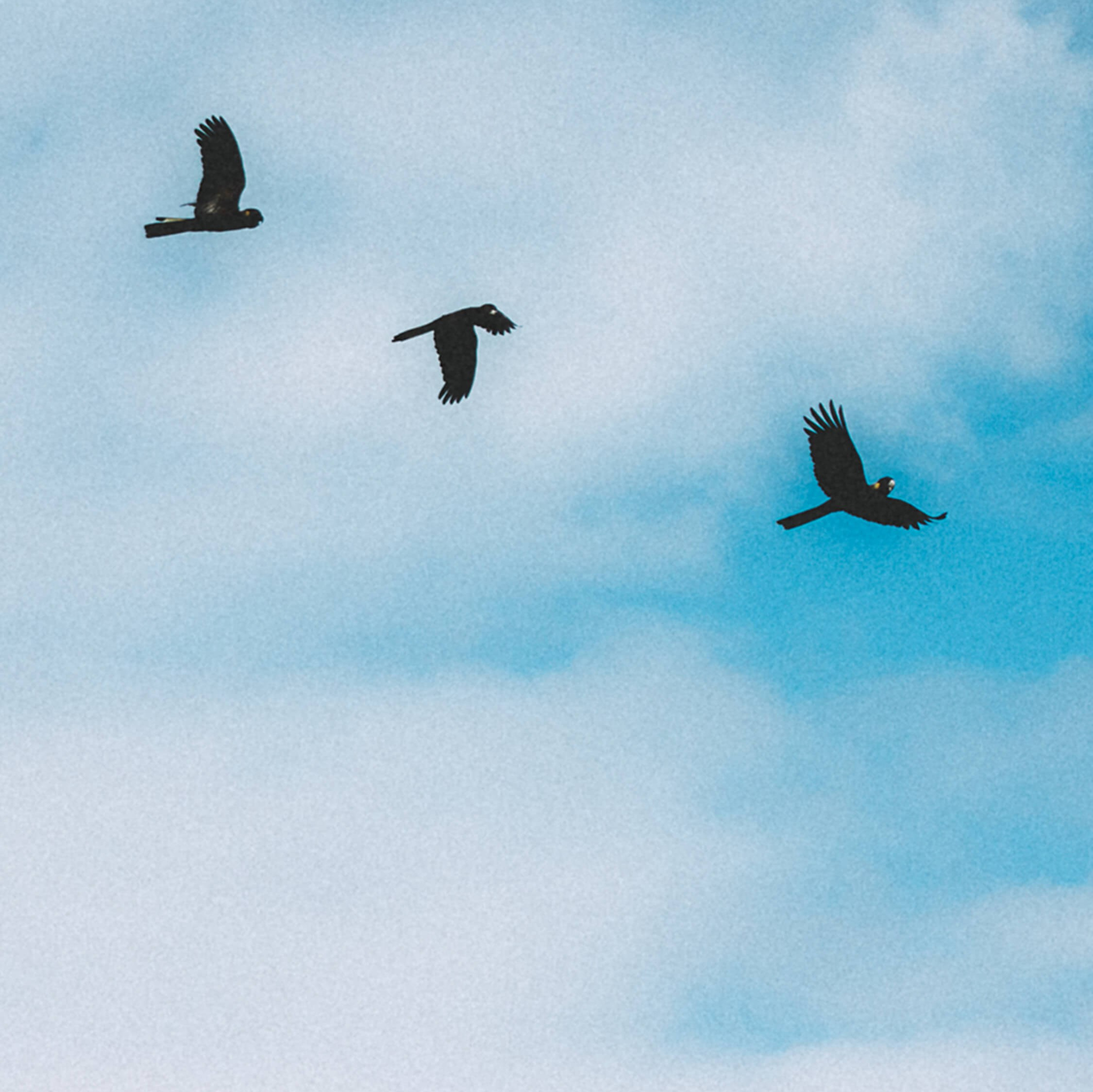 Woman taking a daily mindful photo as a self-care practice to boost mental well-being