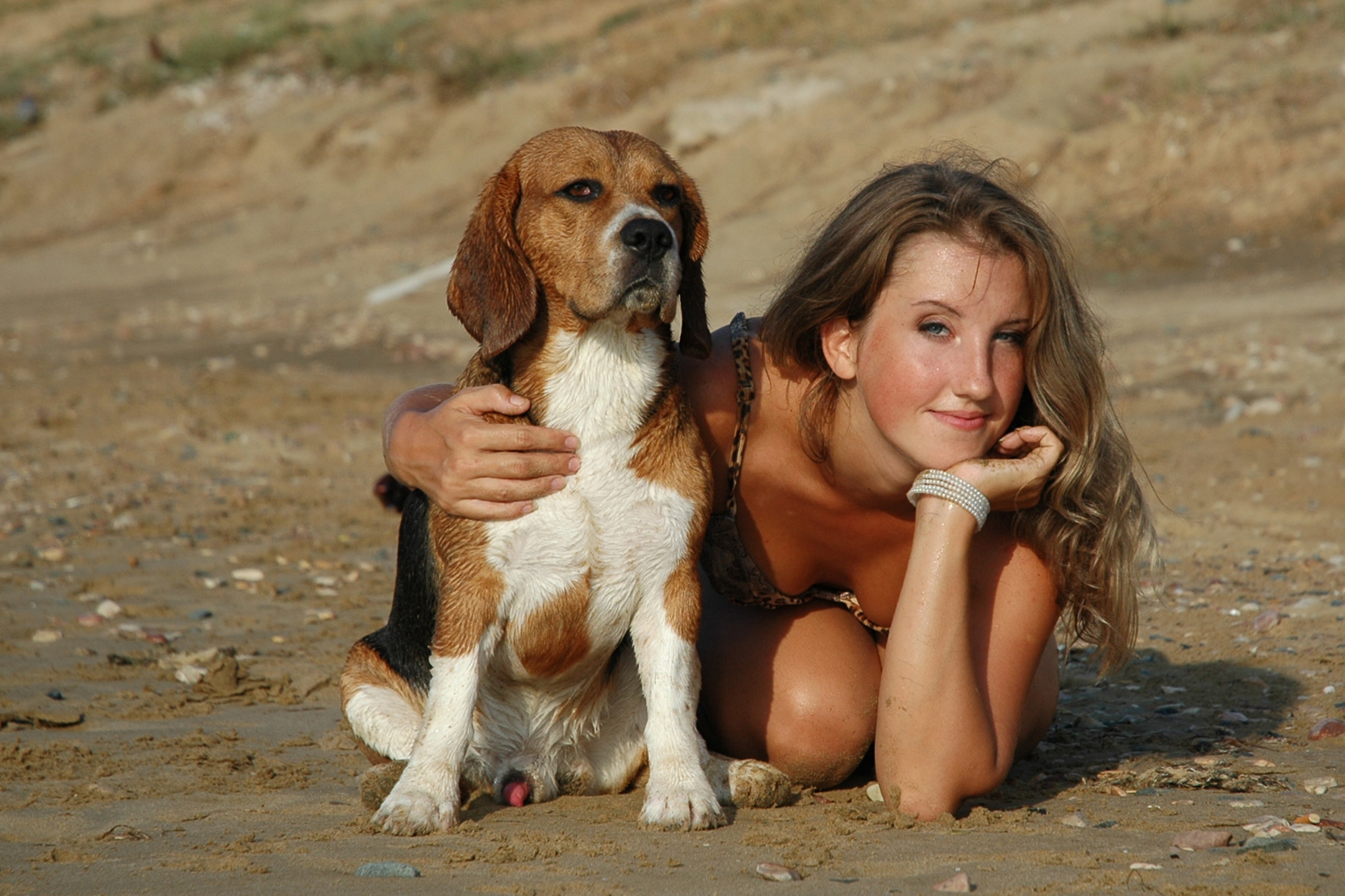 Про нас. Розплідник біглей в Україні