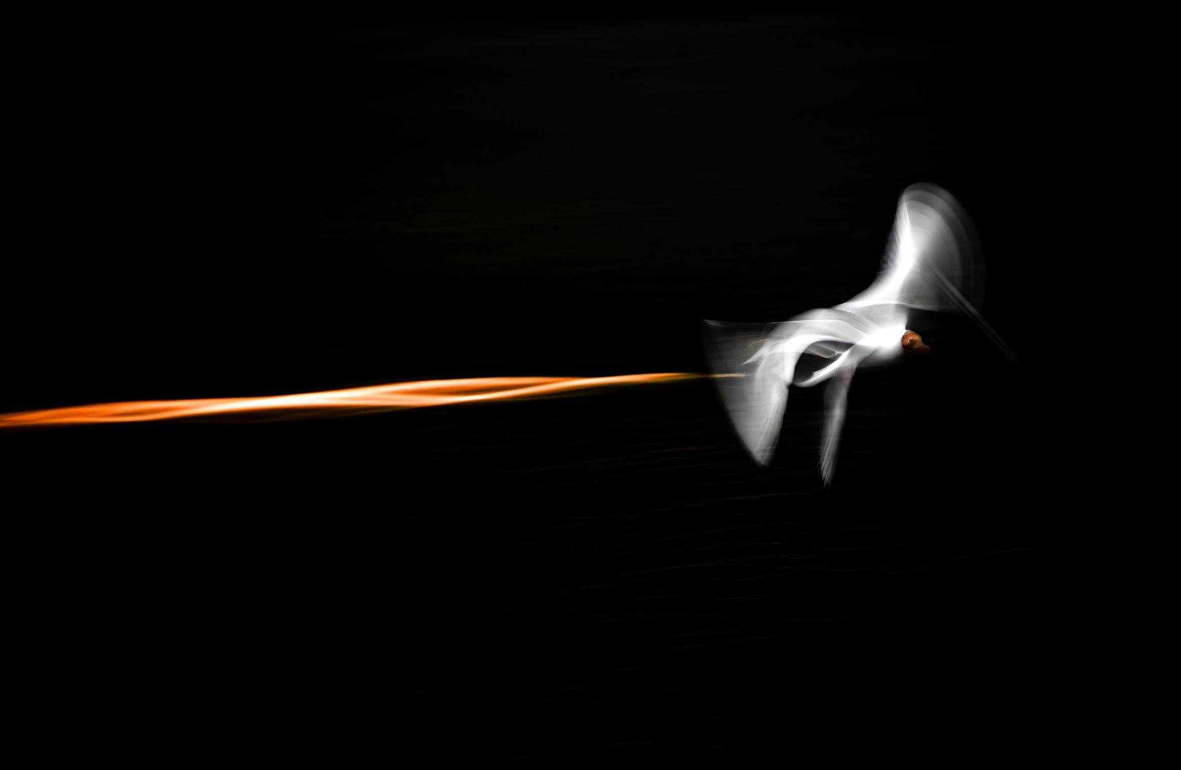 Portfolio Award 2025