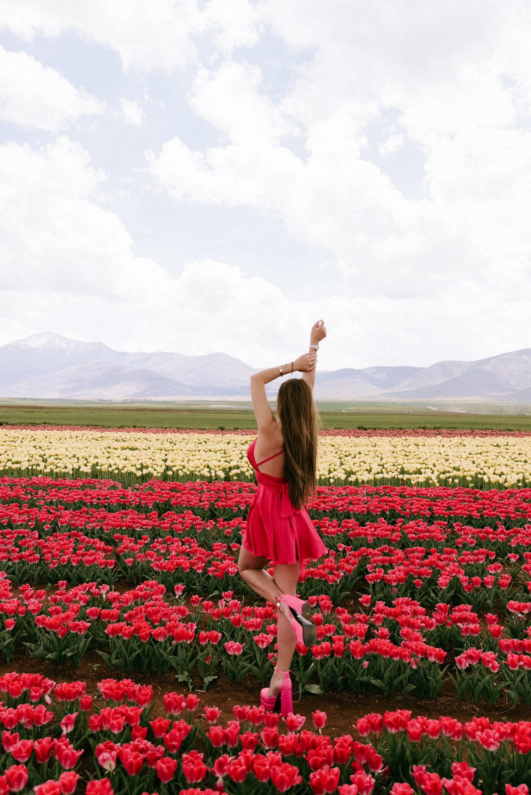 Тюльпан Турция. Тюльпановые поля в Турции. Отдых в Турции. Сады тюльпанов в Коньи. Где можно увидеть поля тюльпанов? Цветение в Турции.  Отдых в Турции. Ыспарта . . Сезон цветение в Турции. Турция. Жизнь в Турции. Локации в Турции . Красивые локации в Турции.Фотограф в Анталии. Фотограф Анталия. Фотограф Анталья. Жизнь в Анталии. Фотограф Белек. Фотограф Алания. Фотограф Сиде. Фотограф Кемер. Фотограф Турция. 