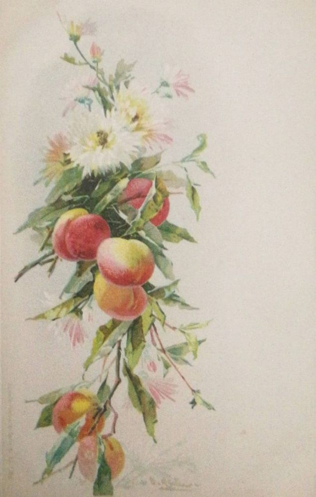 Vintage-Postkarten – Stillleben von Catharina Klein. Fotografin, Sammlerin von Vintage-Postkarten und Schöpferin von Geschichten an der Schnittstelle zwischen Vergangenheit und Persönlichem. Ir