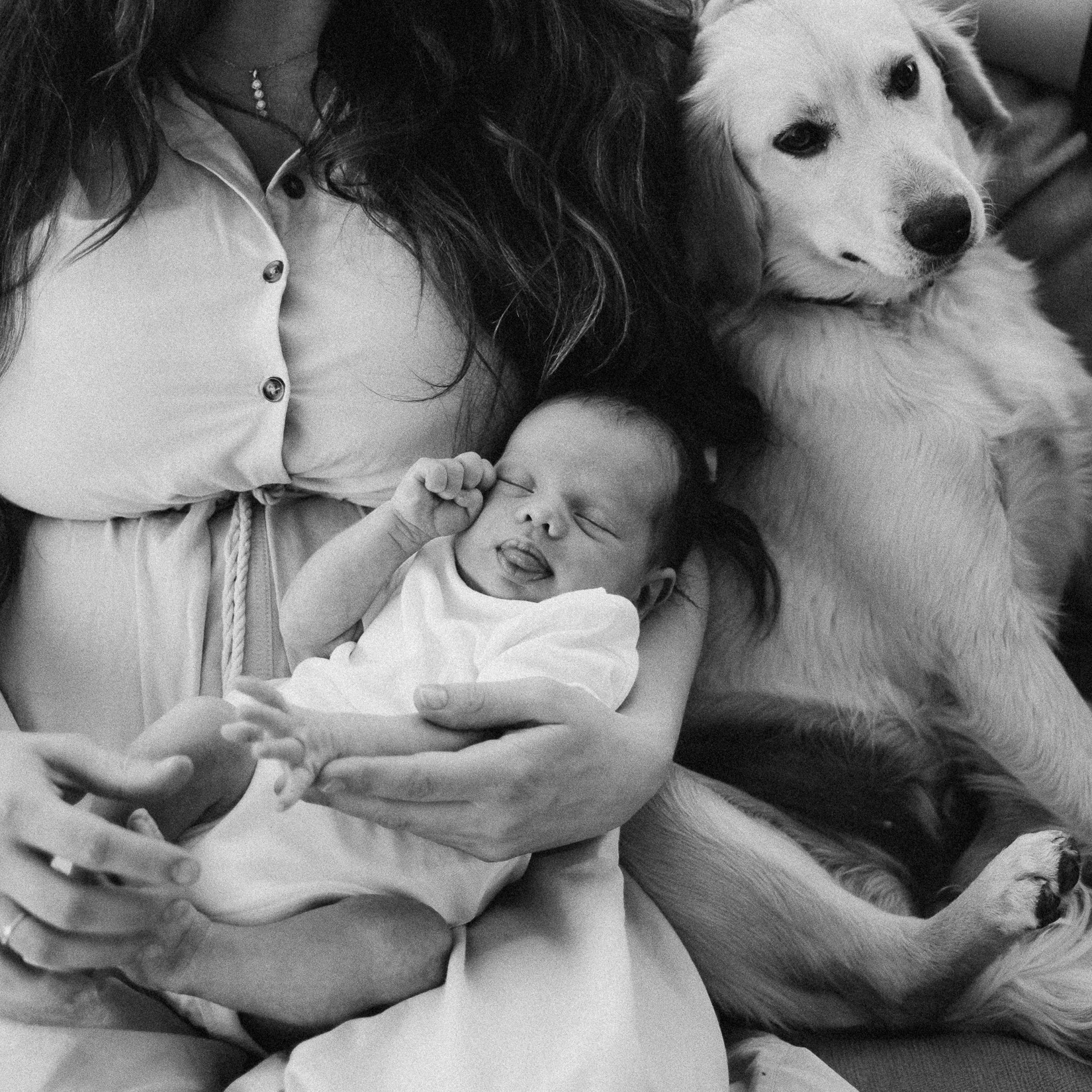 Precio de una sesión de fotos. Fotografo de familia en Quito Anastasia Eliseeva