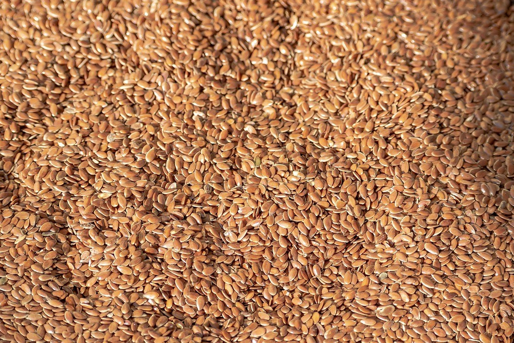 Льон, сільськогосподарськоге насіння