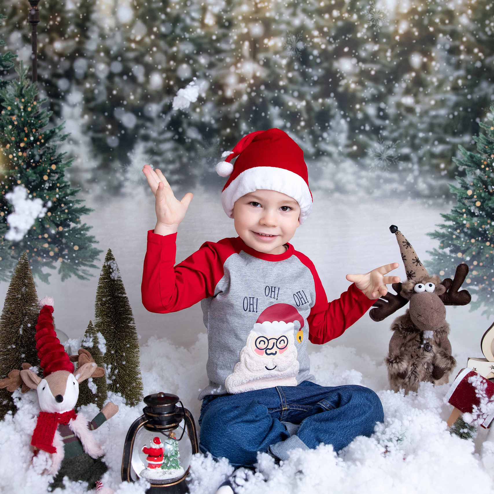 Séance Photo de Noël 2024. Photographe professionelle spécialisée dans la photographie de grosses