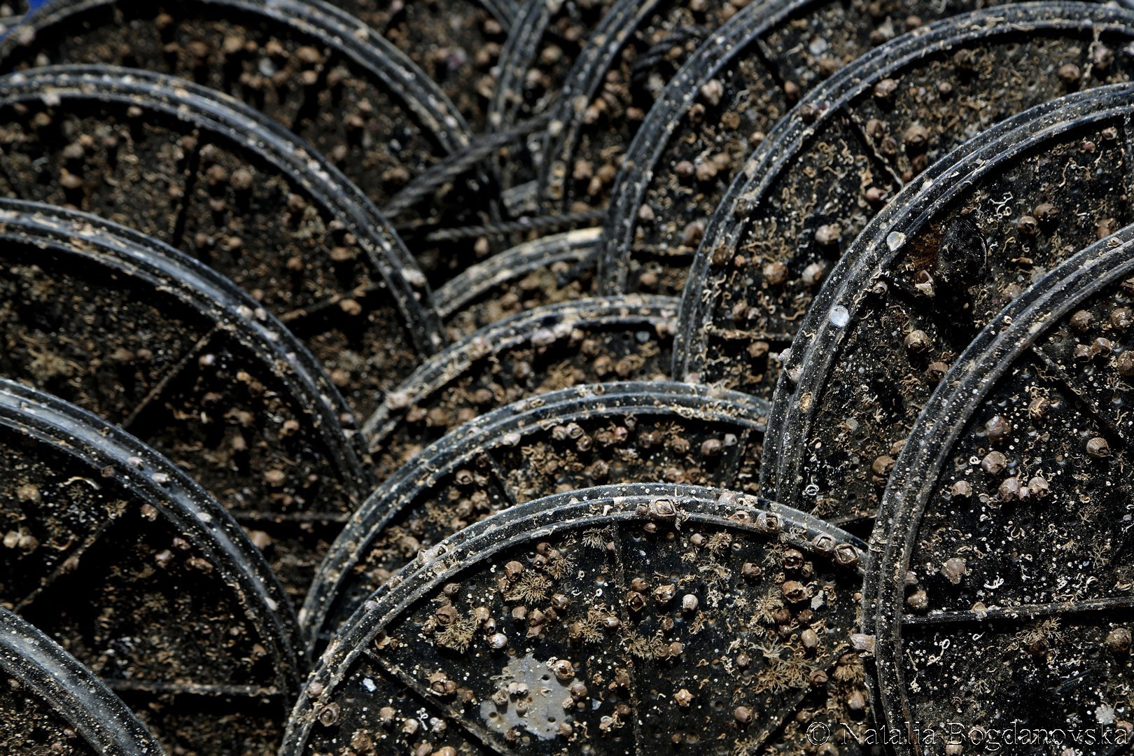 ARC EN SEINE. 7/03 - 21/03. Natalia Bogdanovska. Films et photographie corporate en France