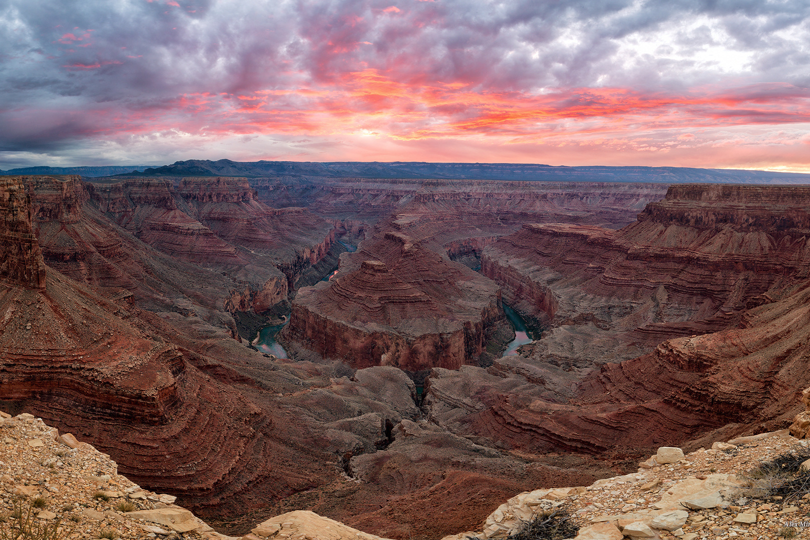 Программа. Alex Mironyuk Photography