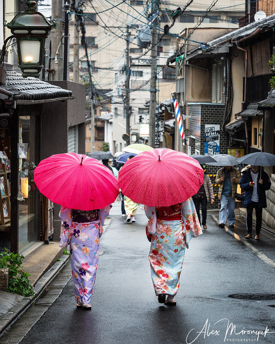 Momiji-gari Season In Japan. Pet, Senior, Landscape, portrait studio, photographer in Miami and Sou