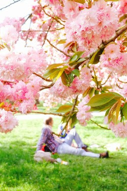 Съёмка в цветении. Парк де Со