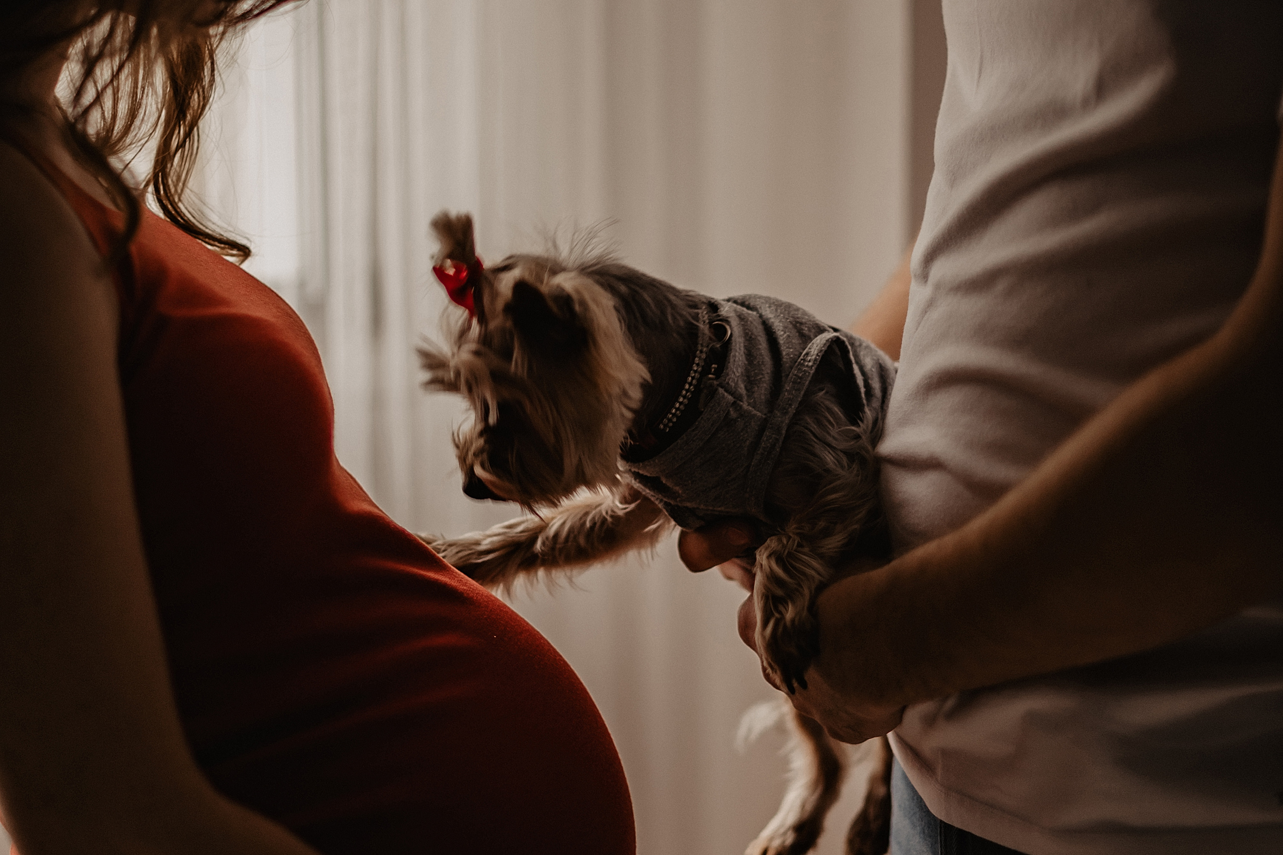 Портфолио. Семейный фотограф в Израиле