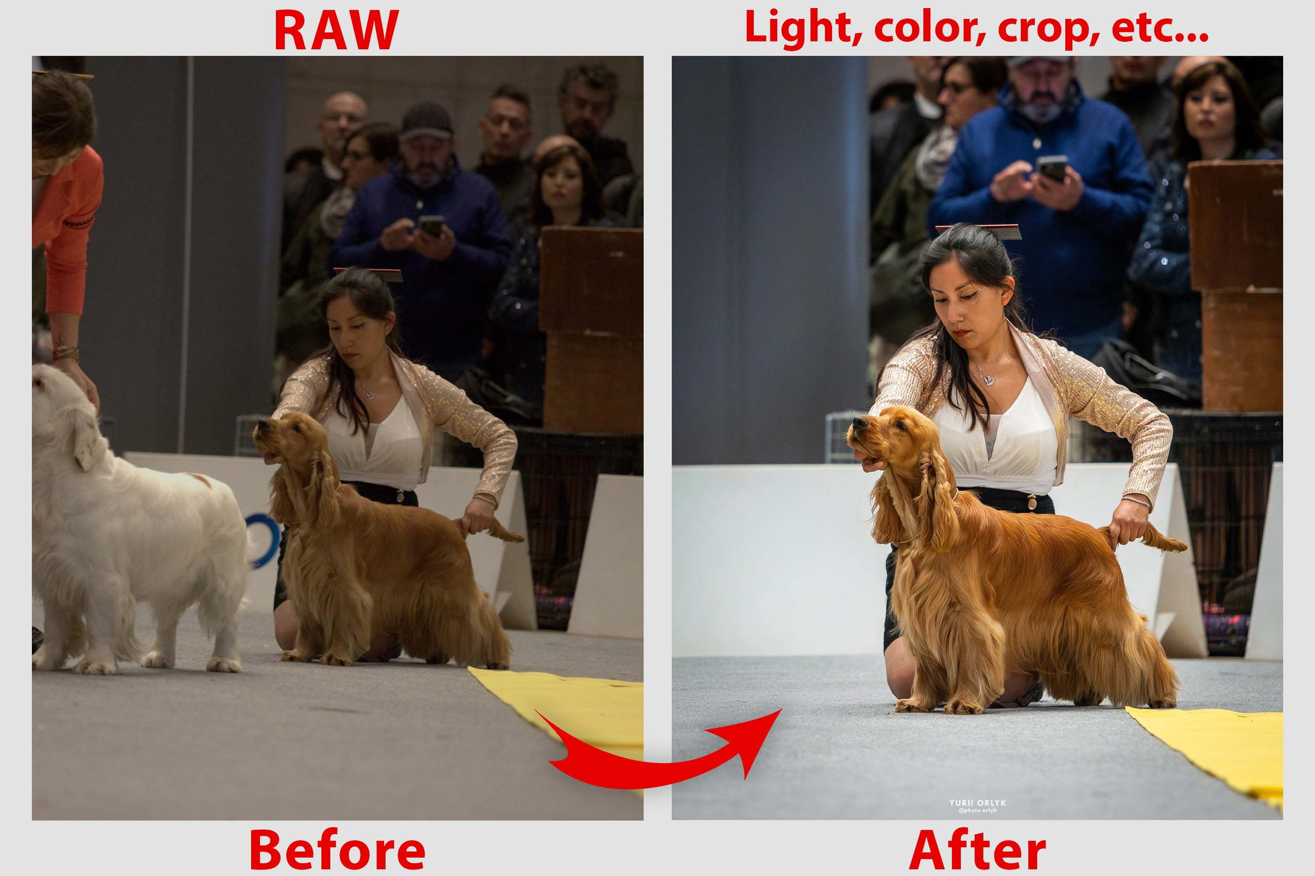 PHOTO ORDER. Yurii Orlyk Photography