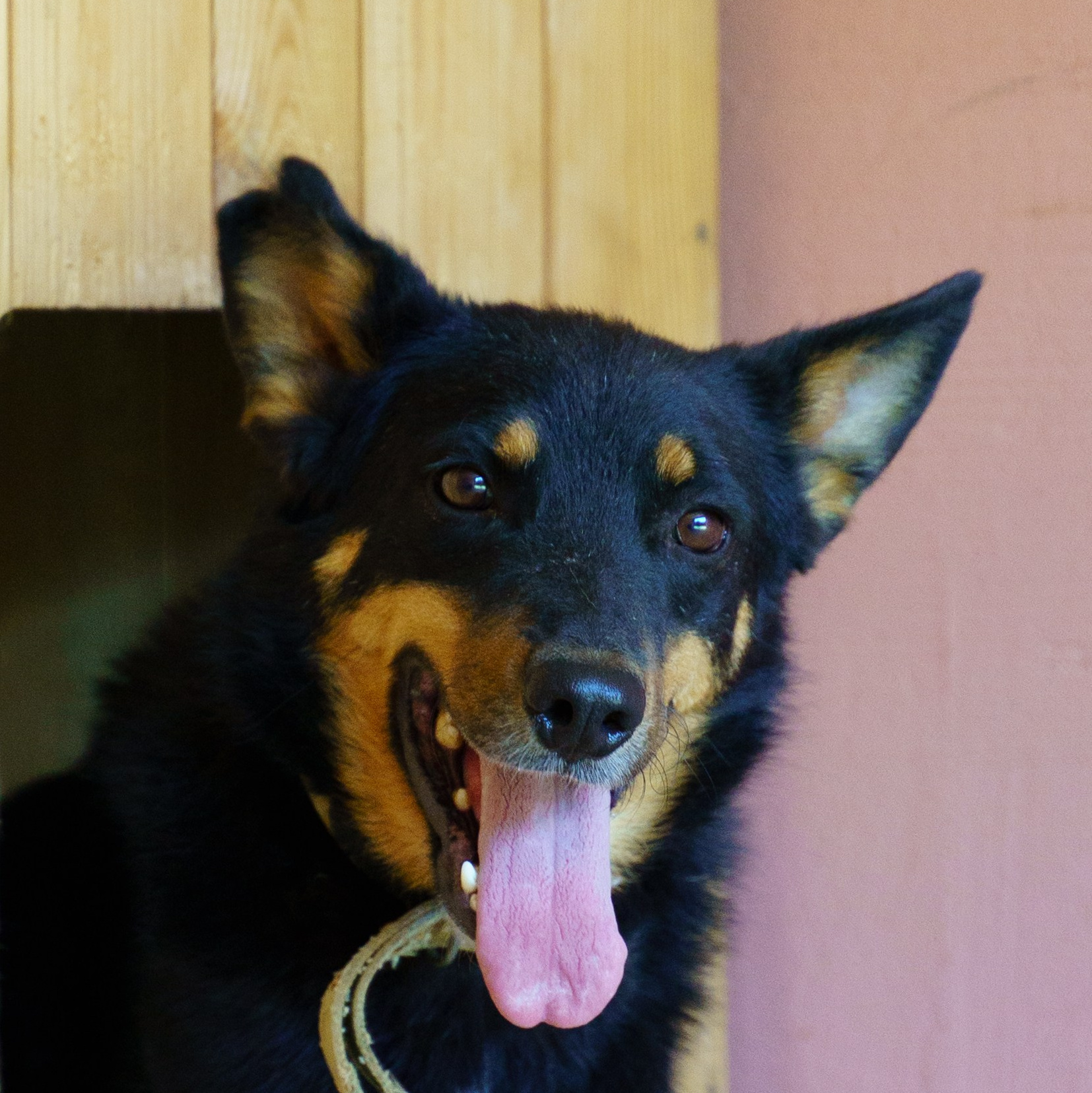 Сім’я кожному. Family photographer in Kiev Natalia Shkavron