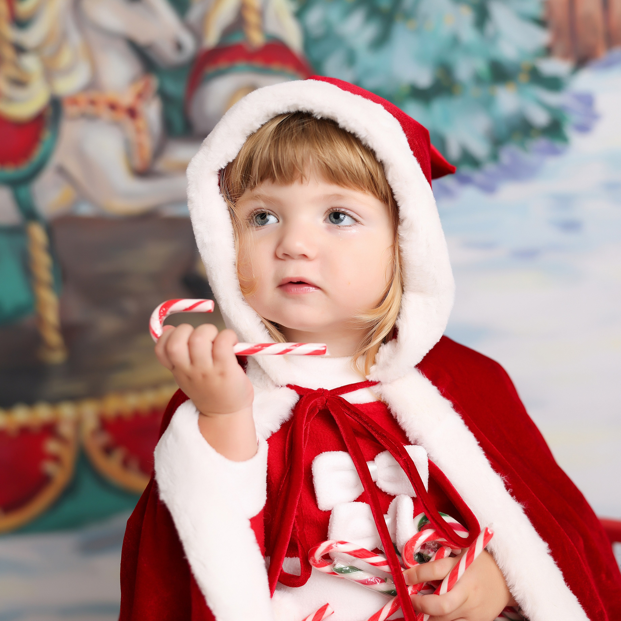 Séance Photo de Noël 2024. Photographe professionelle spécialisée dans la photographie de grosses