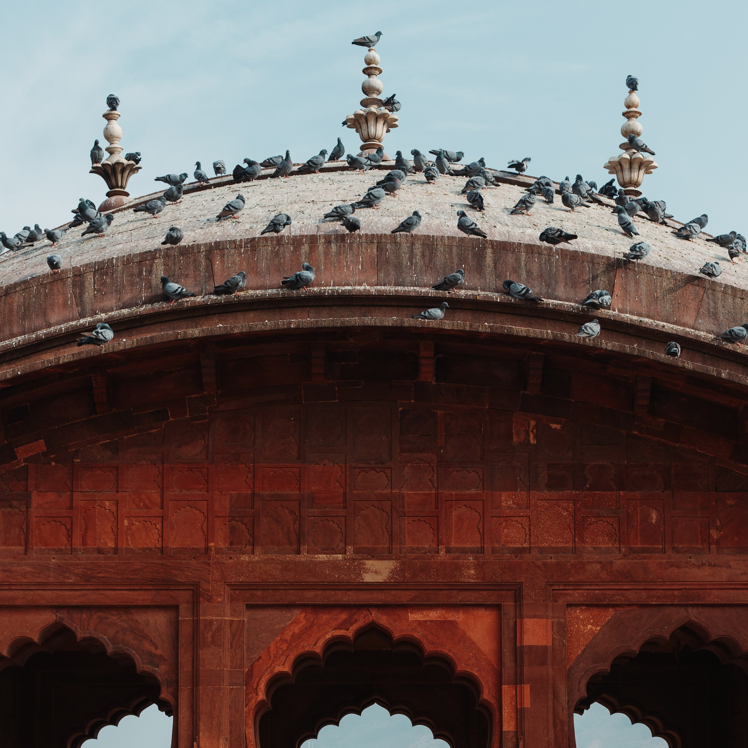 @arhamsaeedofficial. HuskandDusk Studios