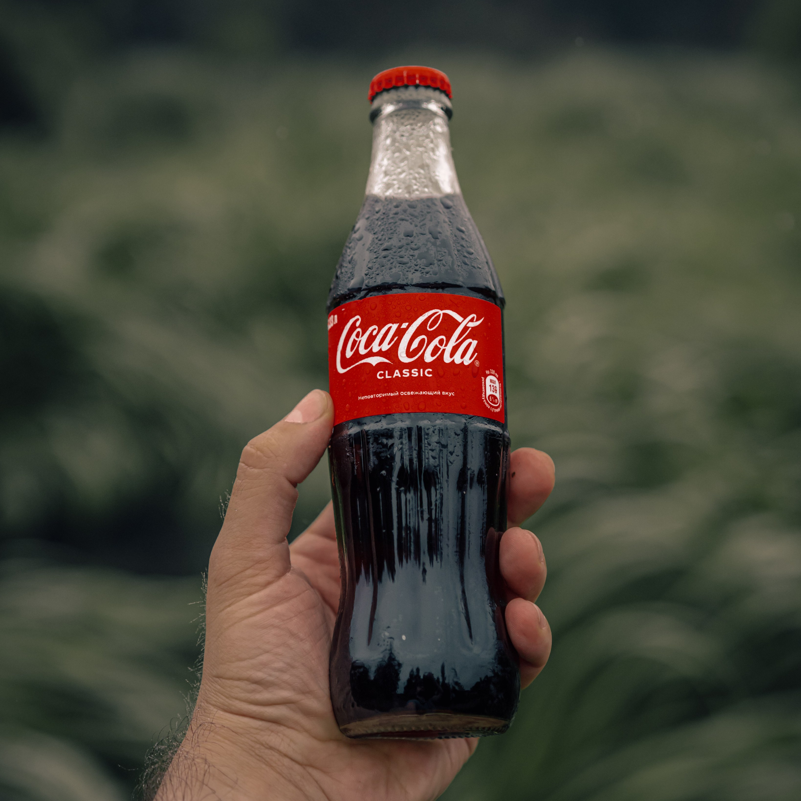 Food Content Creator for Local Cafes and Restaurants in Los Angeles