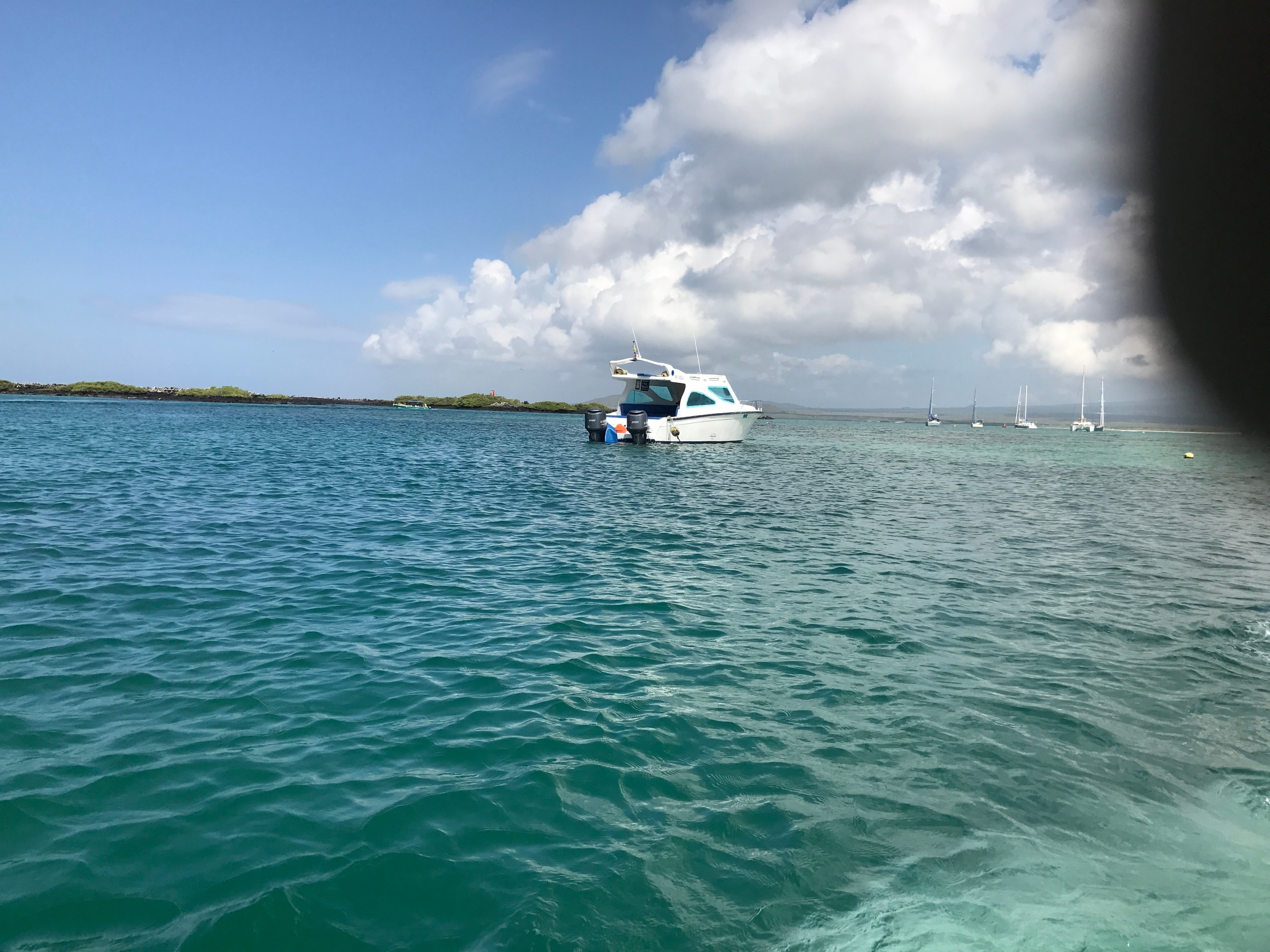 Galapagos. Milok et Kirok sont des gens positifs et réels. Nous serons ravis de v