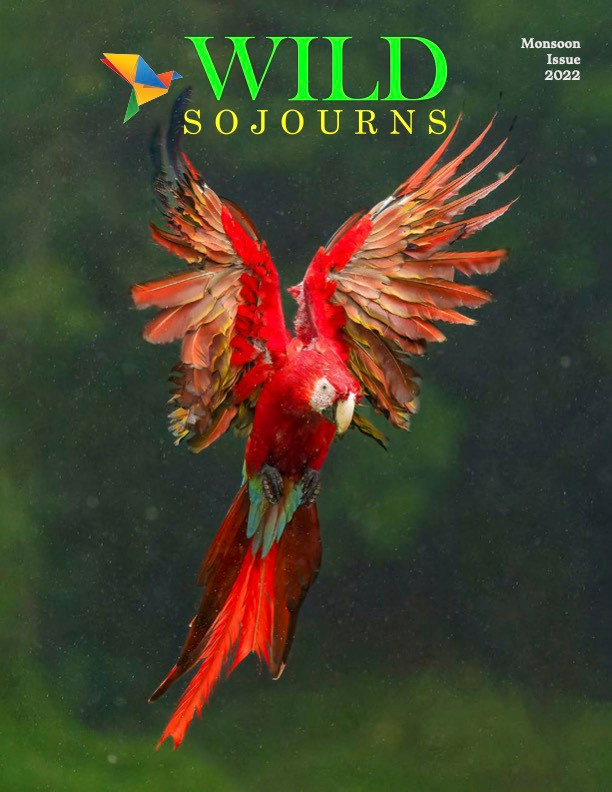 AWARDS AND RECOGNITIONS | AKHIL VINAYAK MENON PHOTOGRAPHY. Akhil Vinayak Menon Photography