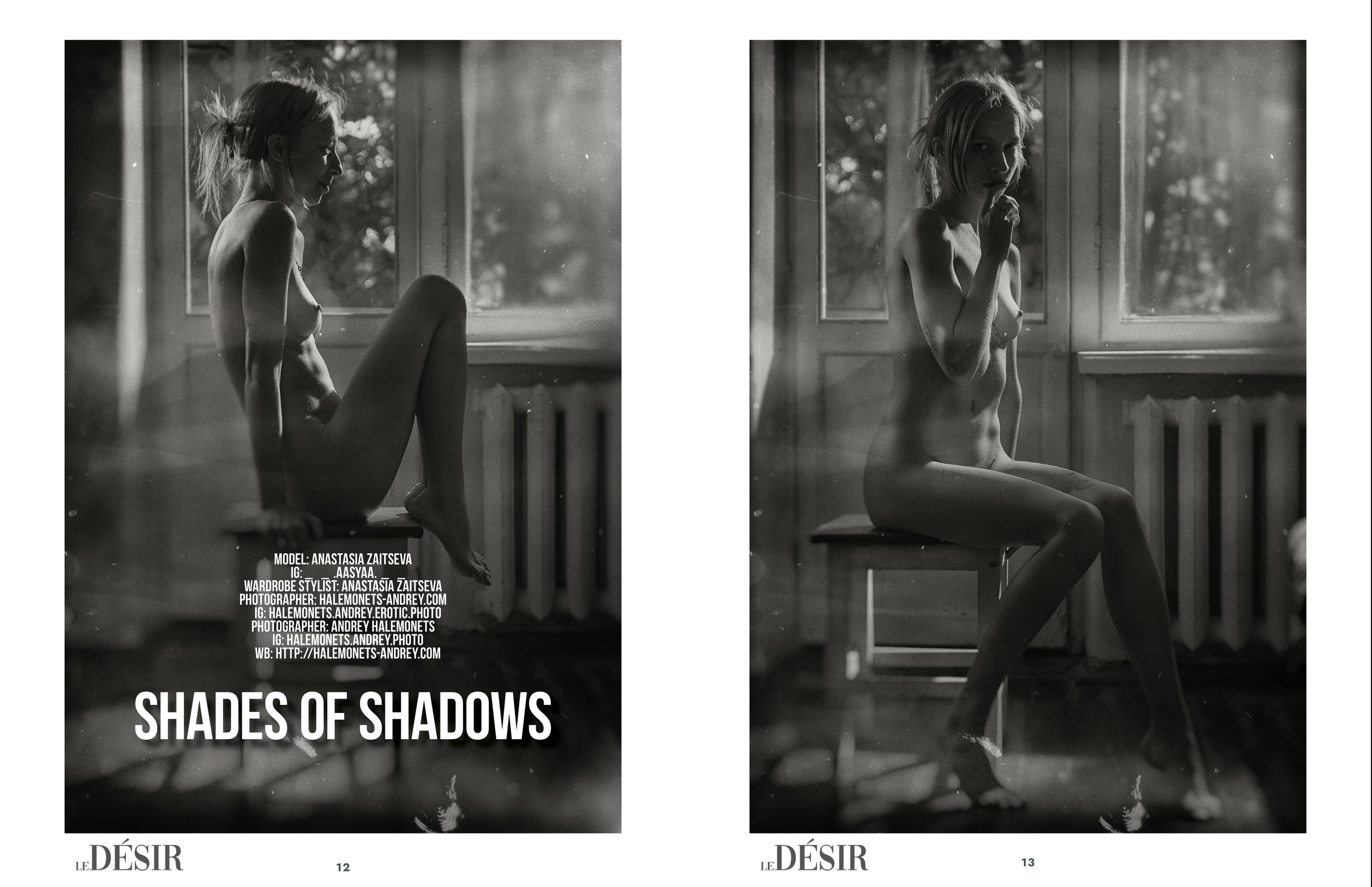 Shades of Shadows — LeDesir, Nudes and Boudoir, September. Профессиональный Фотограф Халемонец Андрей в Кривой Рог Днепр Украина