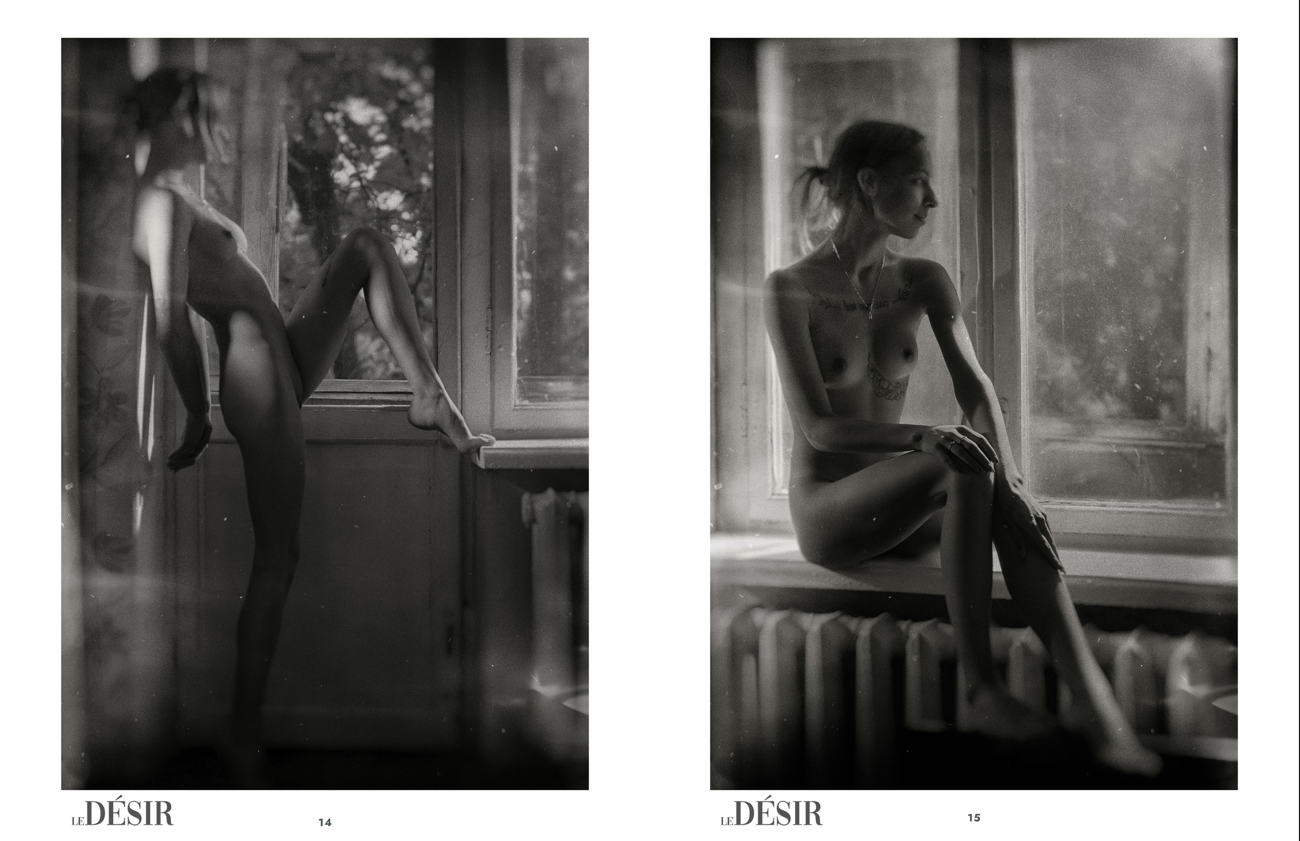 Shades of Shadows — LeDesir, Nudes and Boudoir, September. Профессиональный Фотограф Халемонец Андрей в Кривой Рог Днепр Украина