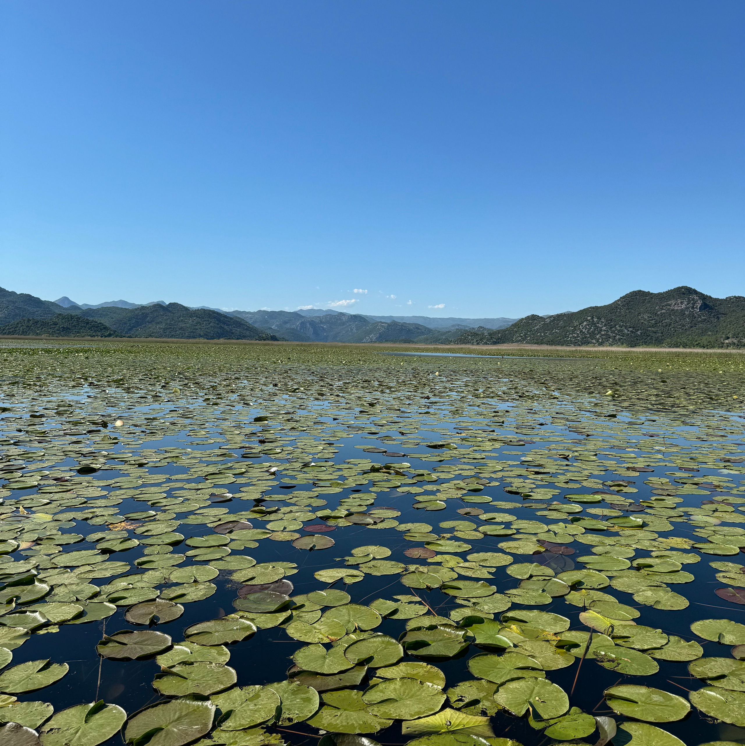Nationale Parken van Montenegro: Verken Natuurlijke Schoonheid