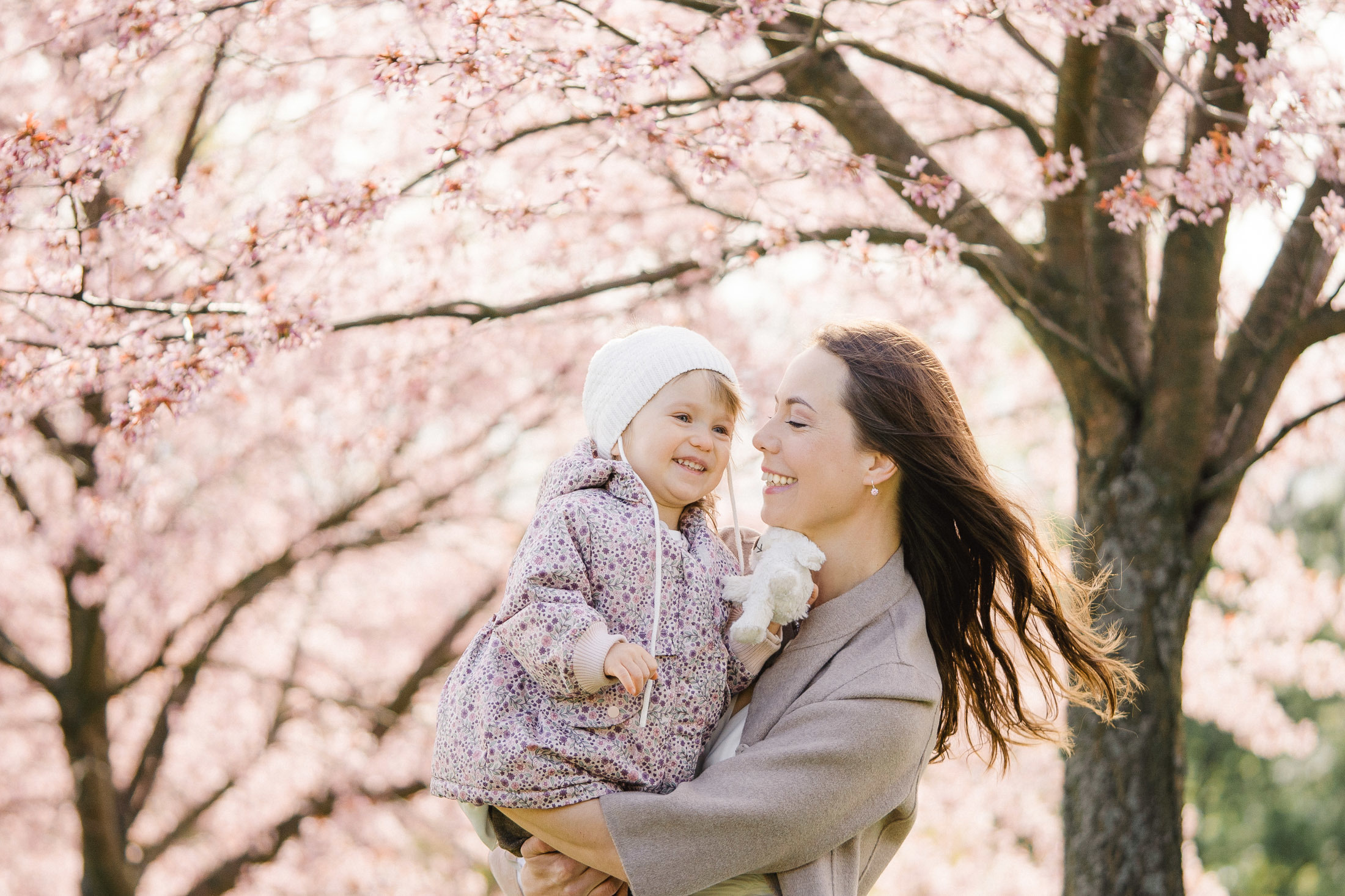 Perhekuvaus Helsingin kirsikkapuistossa