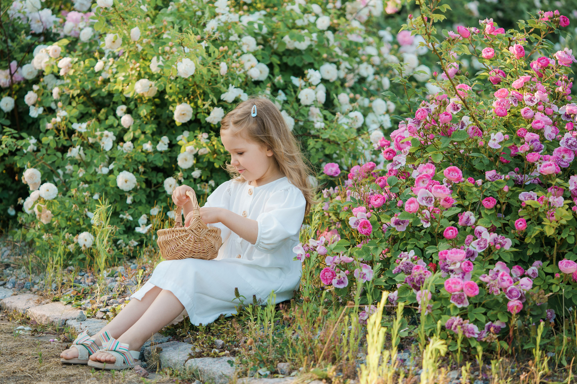Lapsikuvaus Helsingissä, ruusutarhassa