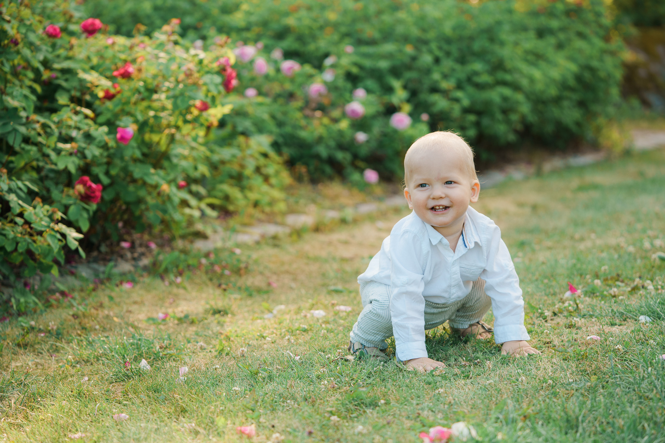 Lapsikuvaus Helsingissä, ruusutarhassa