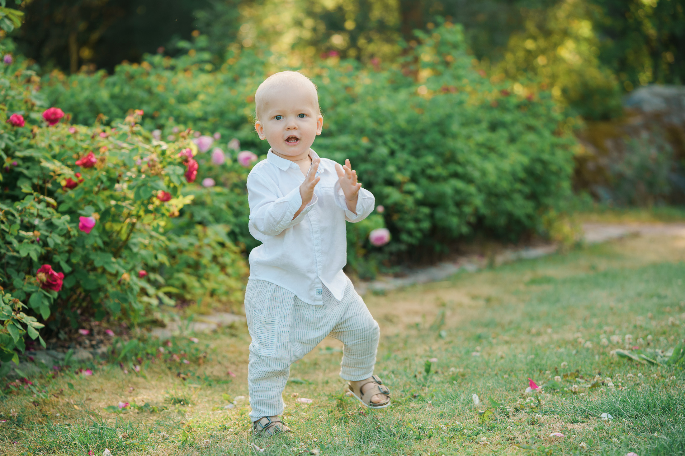 Lapsikuvaus Helsingissä, ruusutarhassa