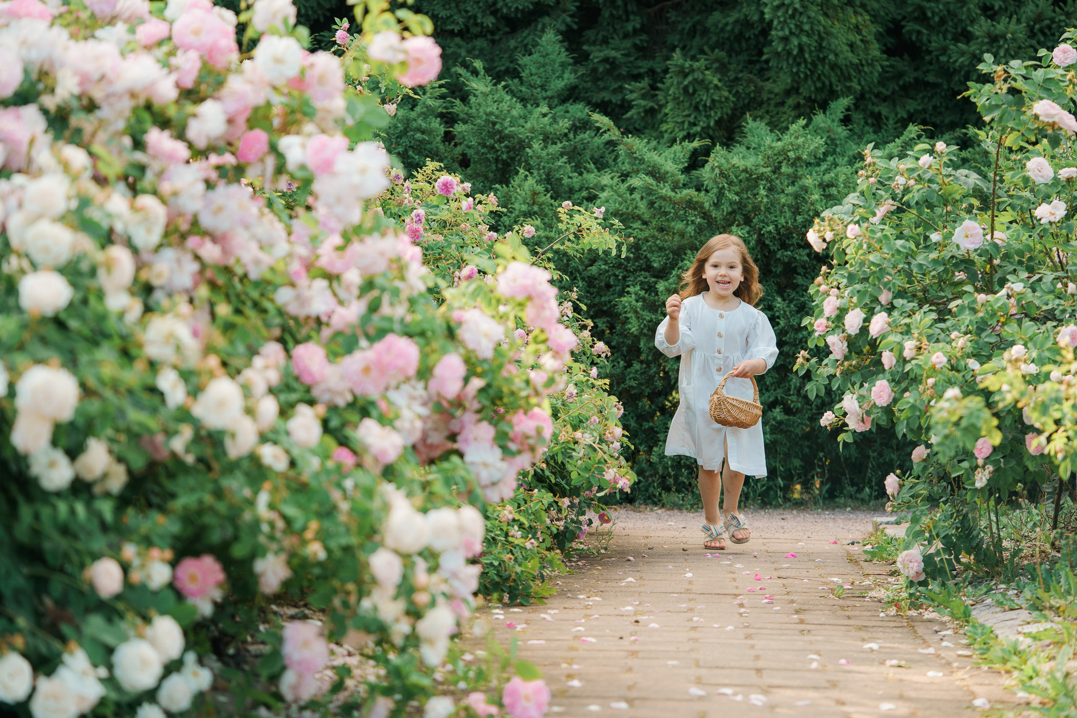 Lapsikuvaus Helsingissä, ruusutarhassa