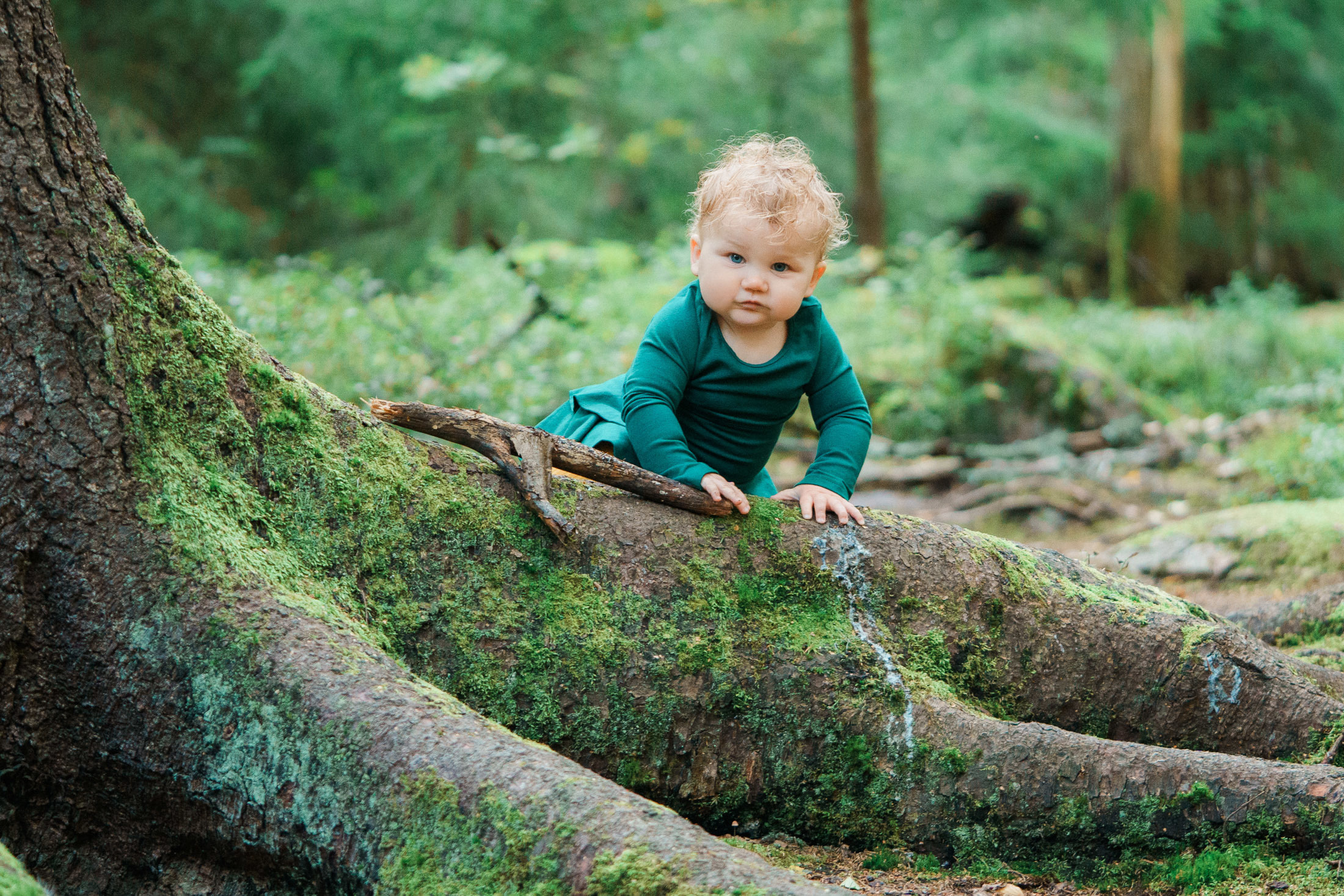 Lapsikuvaus Laajalahti