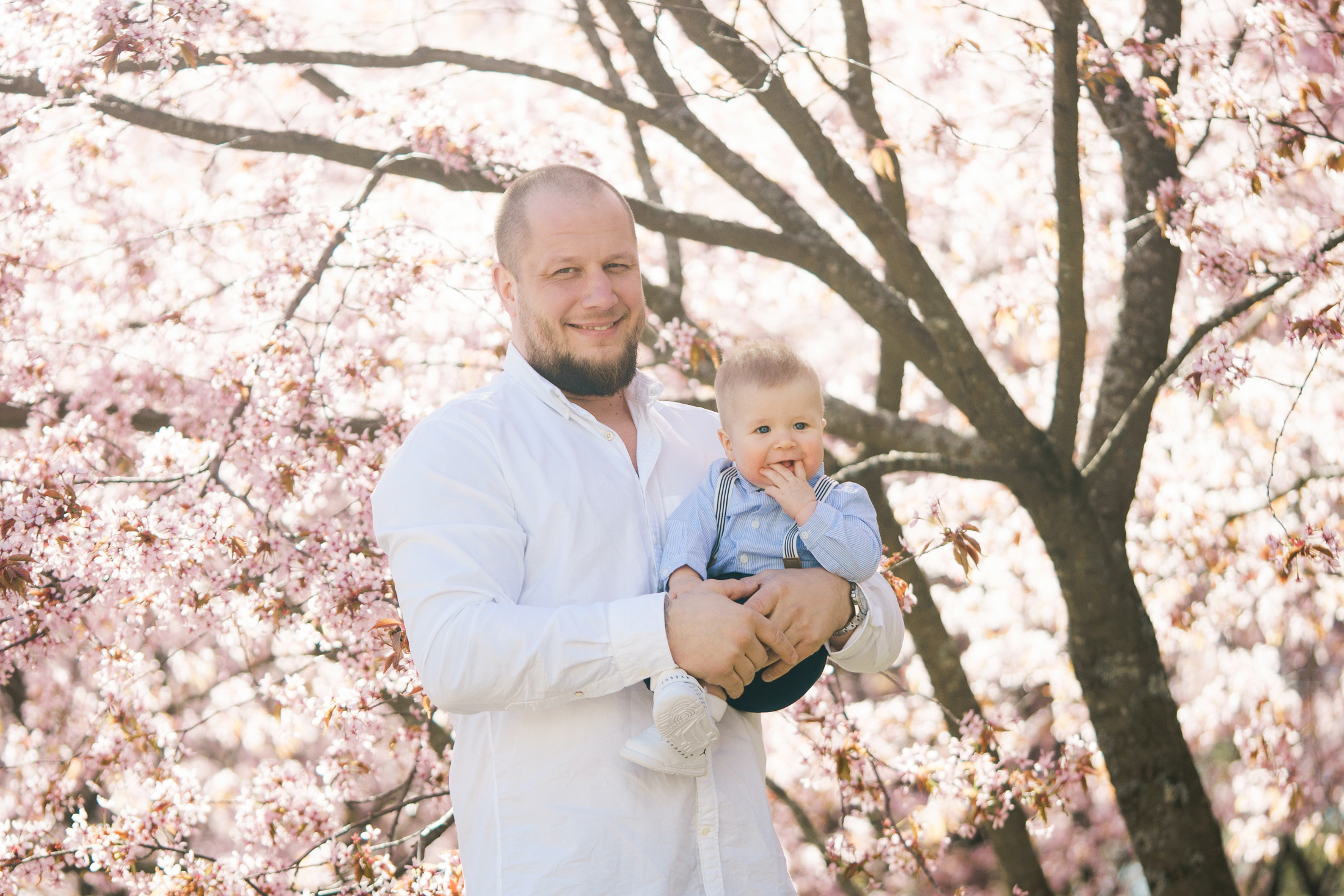 Perhekuvaus, kirsikkapuisto, Helsinki