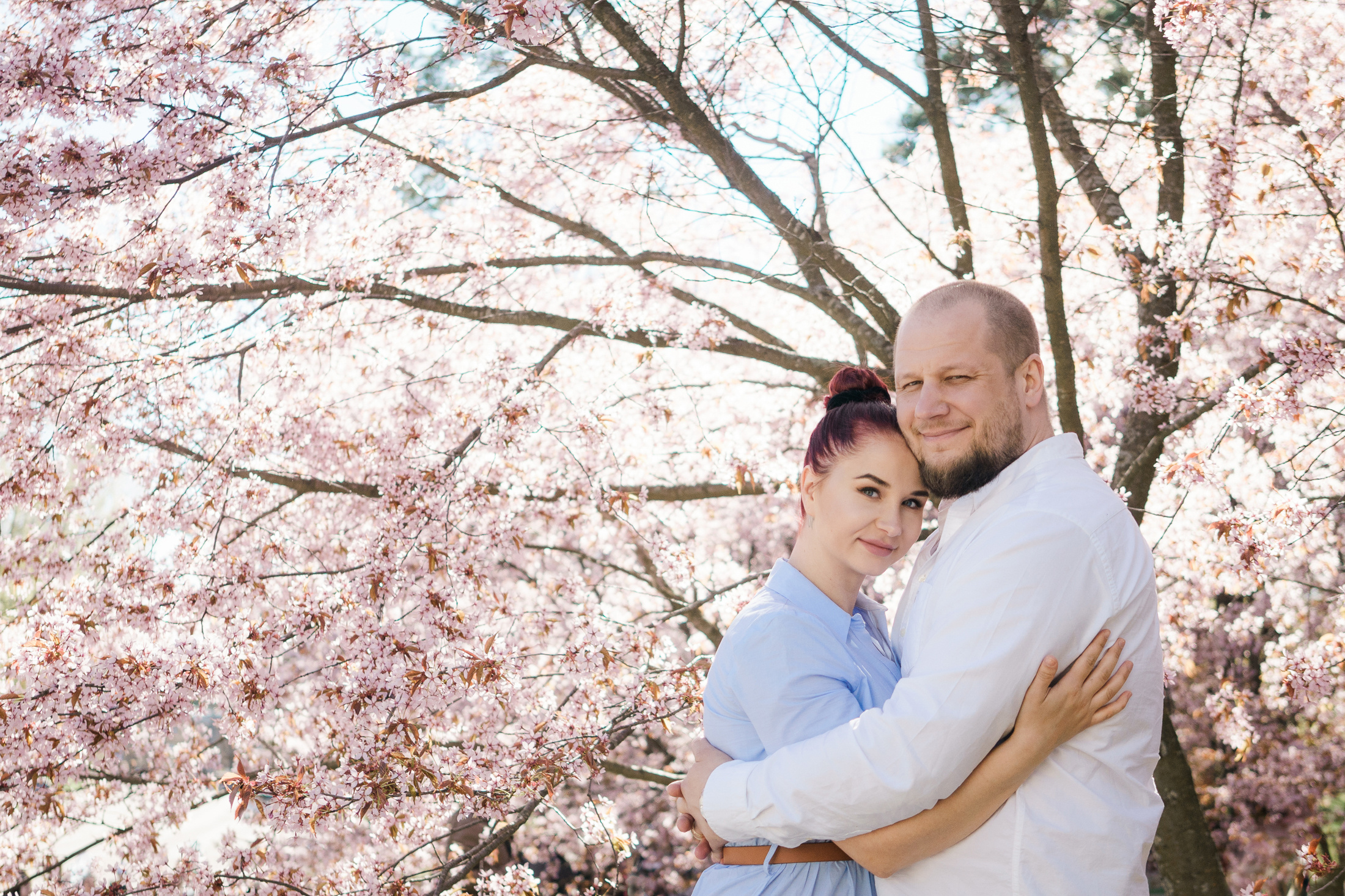 Perhekuvaus, kirsikkapuisto, Helsinki