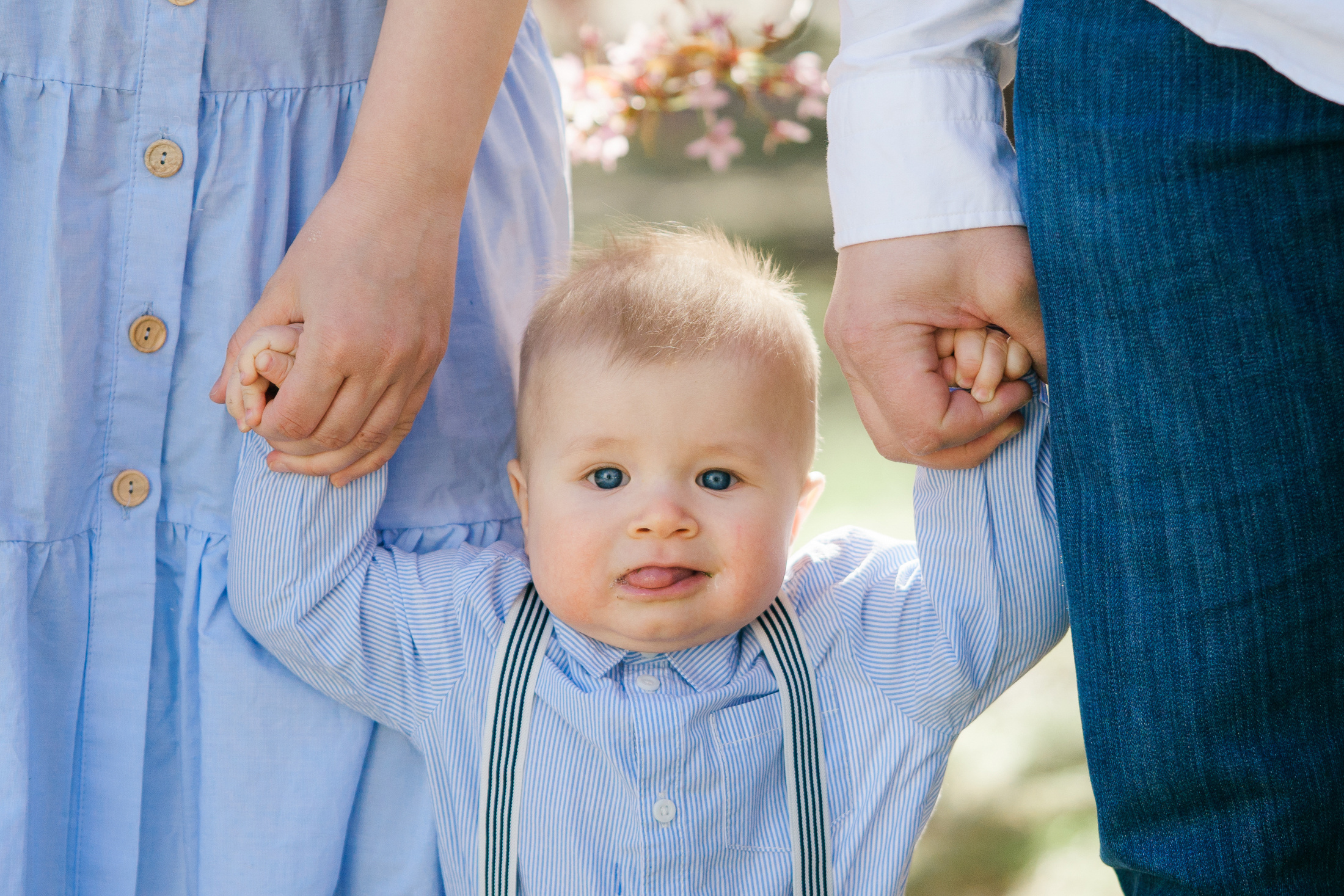 Perhekuvaus, kirsikkapuisto, Helsinki