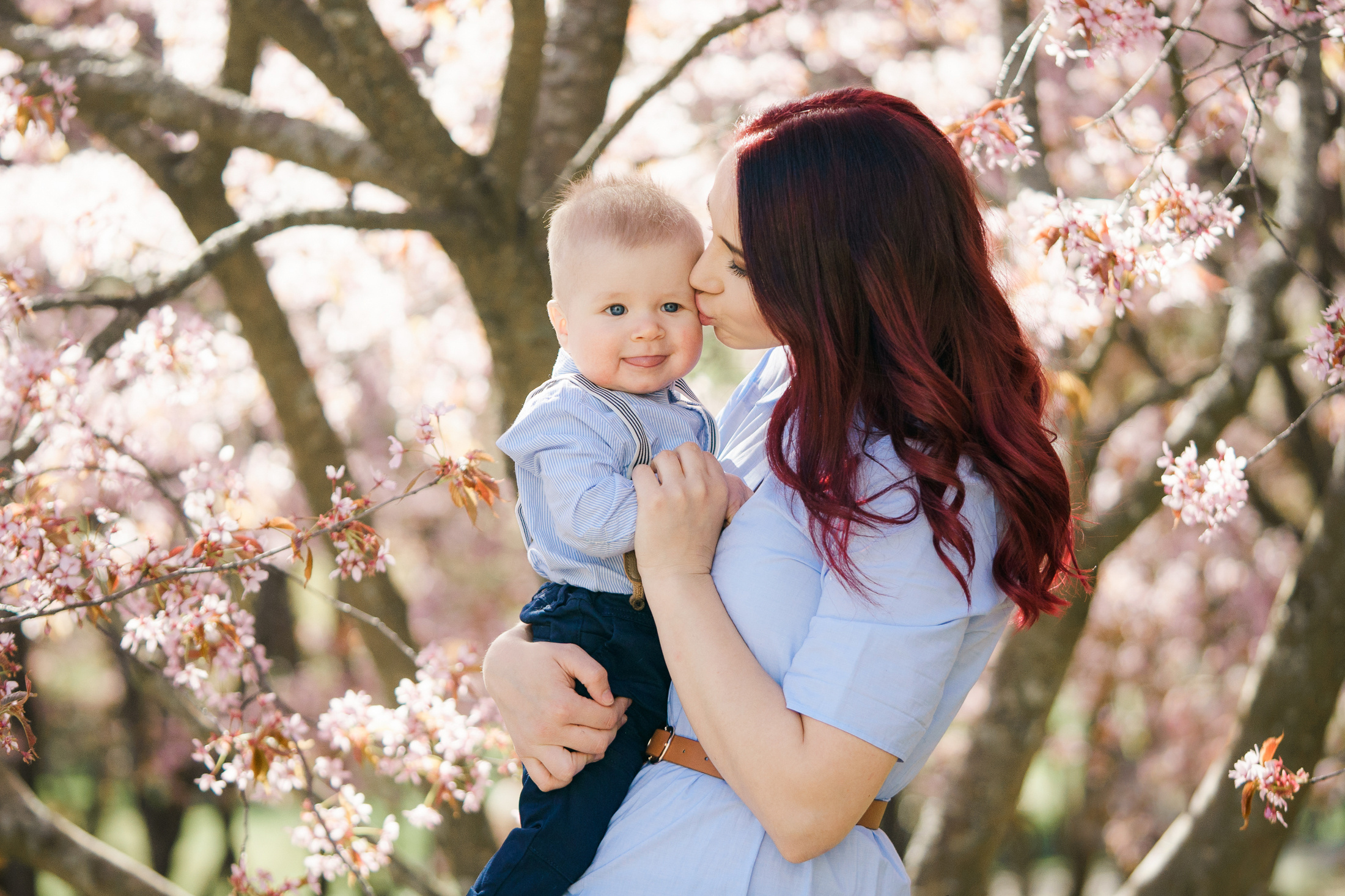 Perhekuvaus, kirsikkapuisto, Helsinki