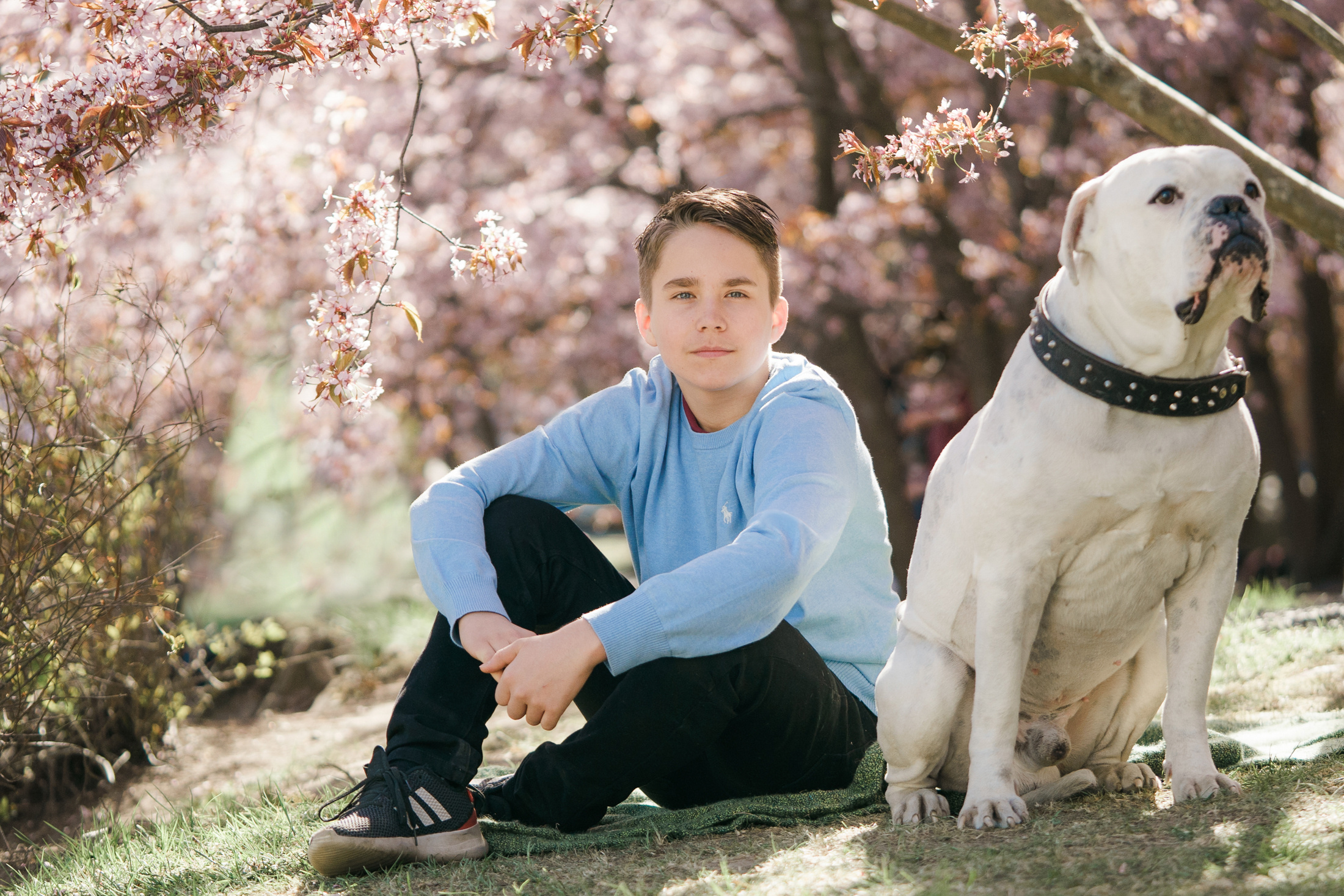 Perhekuvaus Roihuvuoren kirsikkapuistossa