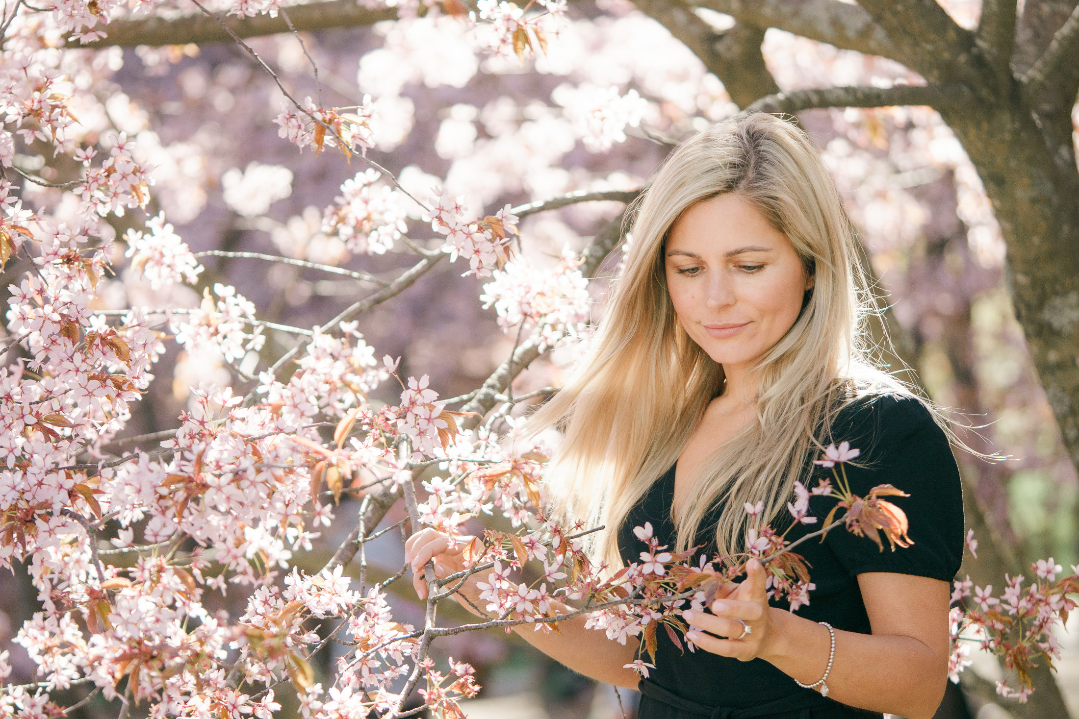 Perhekuvaus Roihuvuoren kirsikkapuistossa