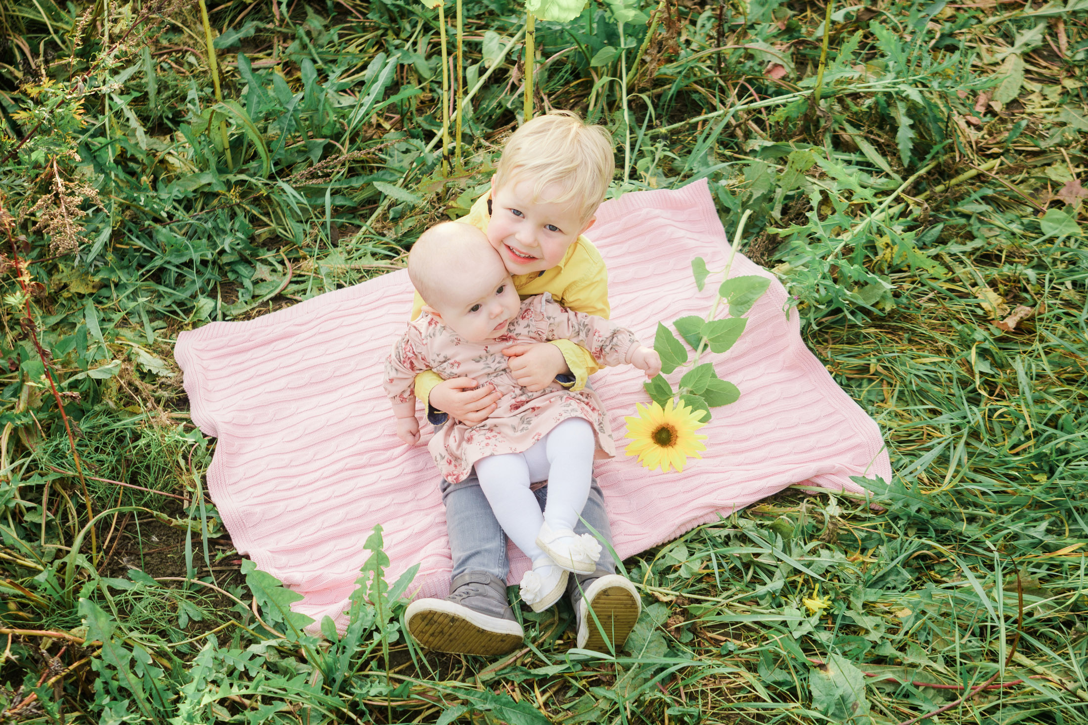 Lapsi- ja perhekuvaus auringonkukkapellolla