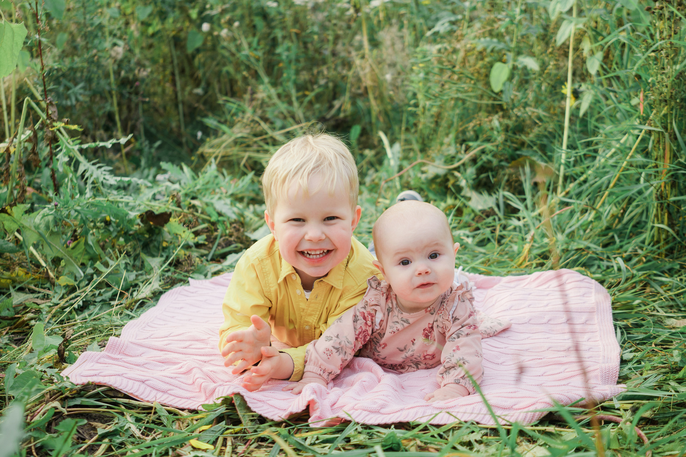 Lapsi- ja perhekuvaus auringonkukkapellolla