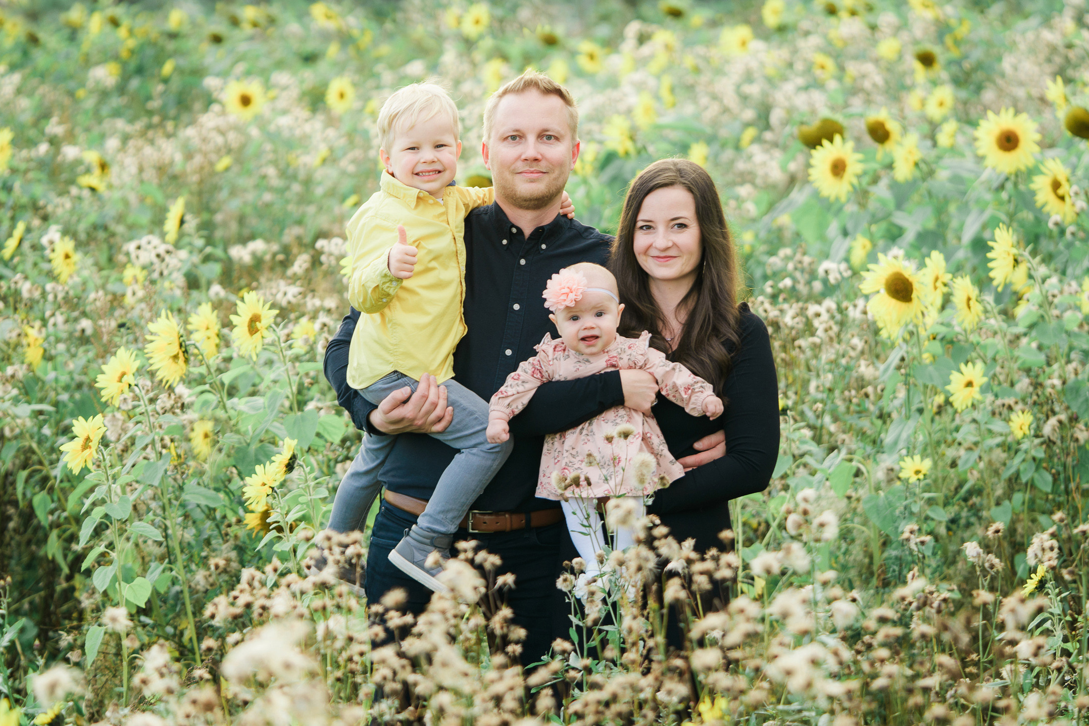 Lapsi- ja perhekuvaus auringonkukkapellolla