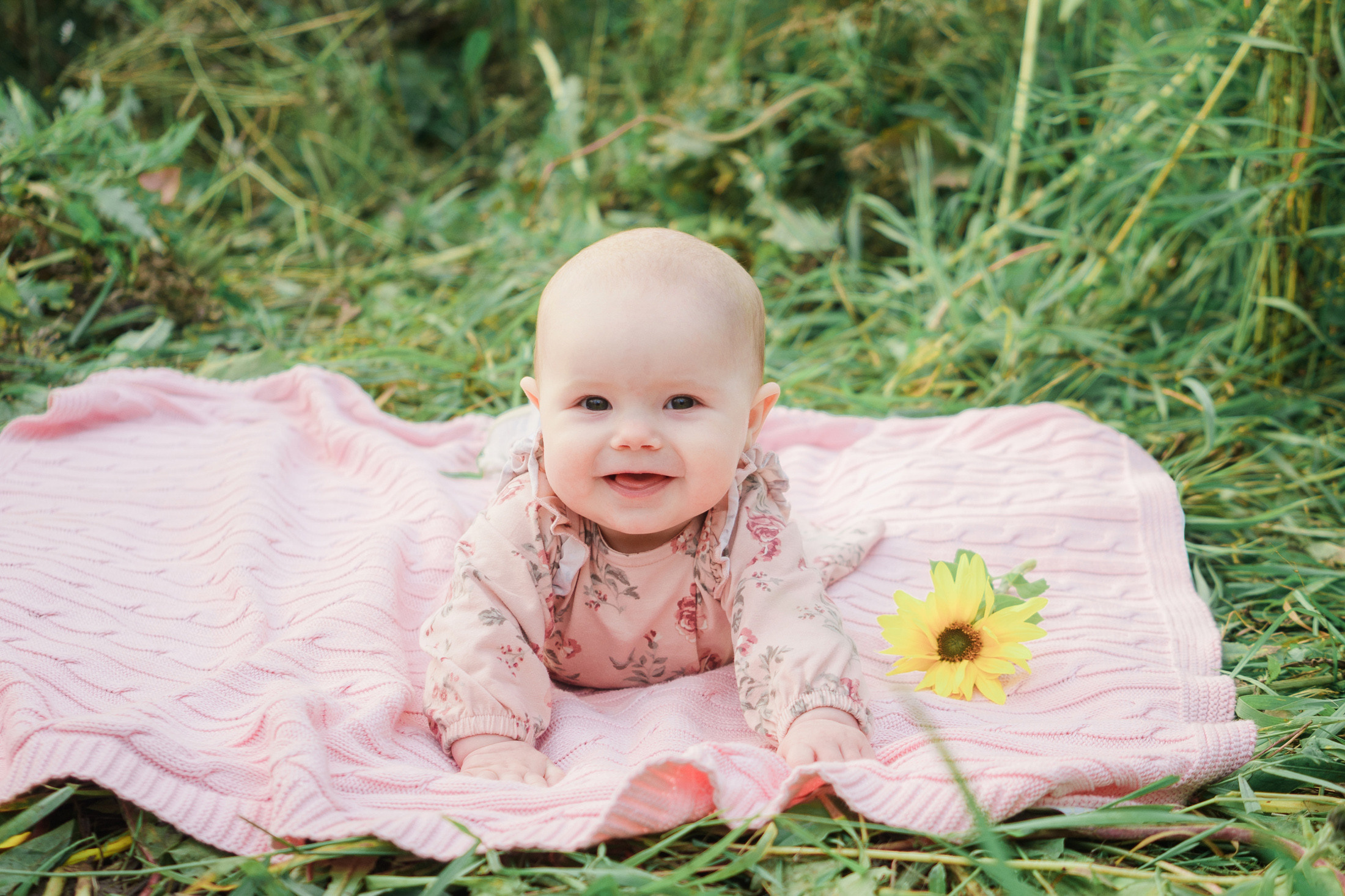 Lapsi- ja perhekuvaus auringonkukkapellolla