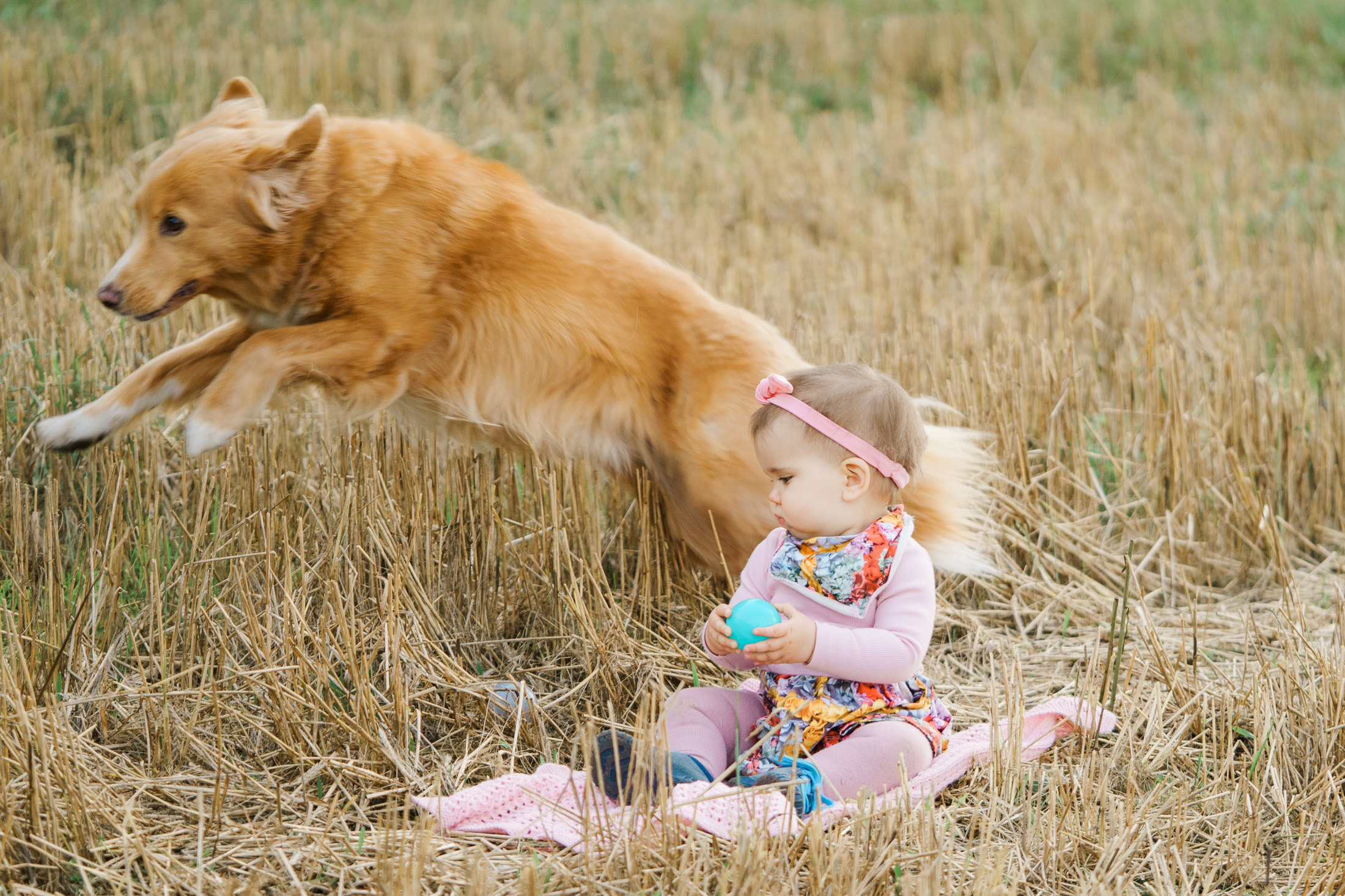 Perhekuvaus, Helsinki