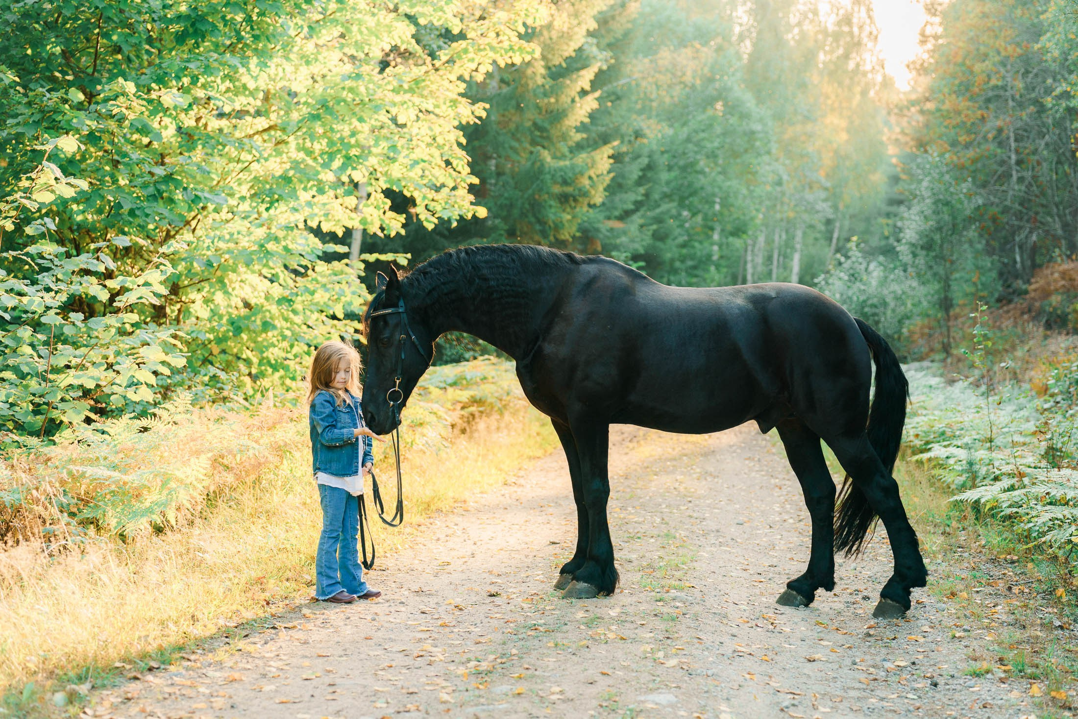 Lapsikuvaus hevosen kanssa