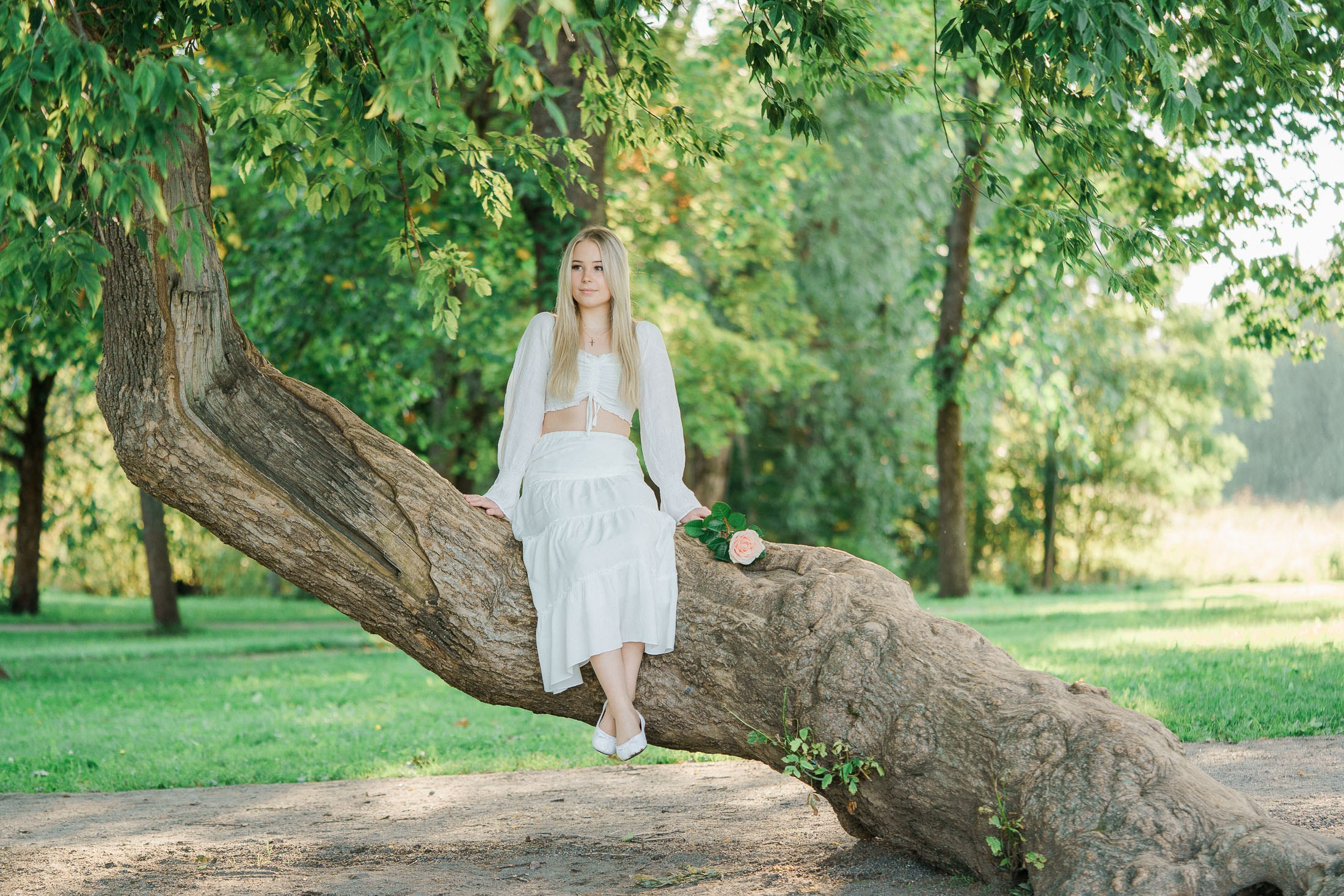 Rippi- ja ylioppilaskuvaus