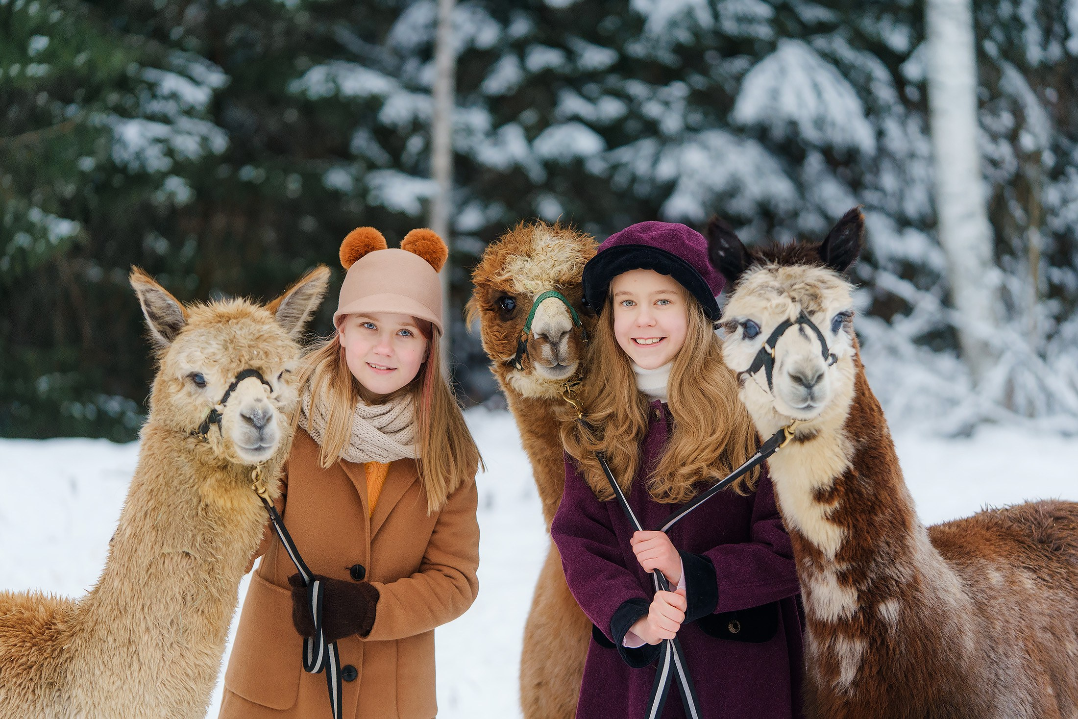 Ystävänpäivän kuvaus