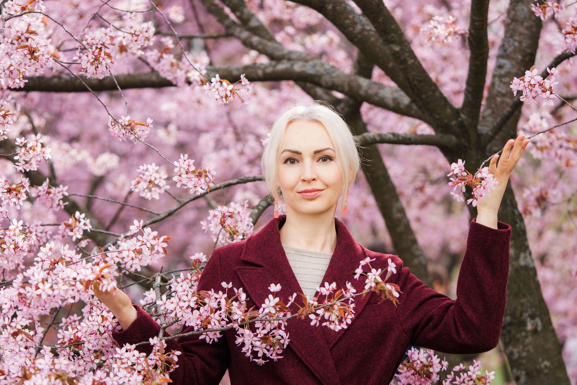 Muotokuvaus kirsikkapuistossa