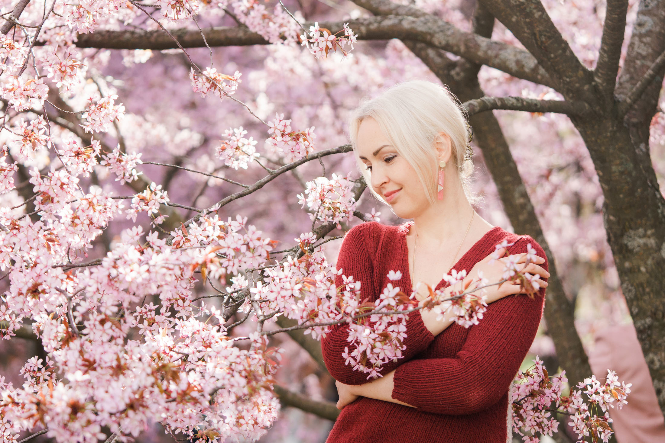 Muotokuvaus kirsikkapuistossa