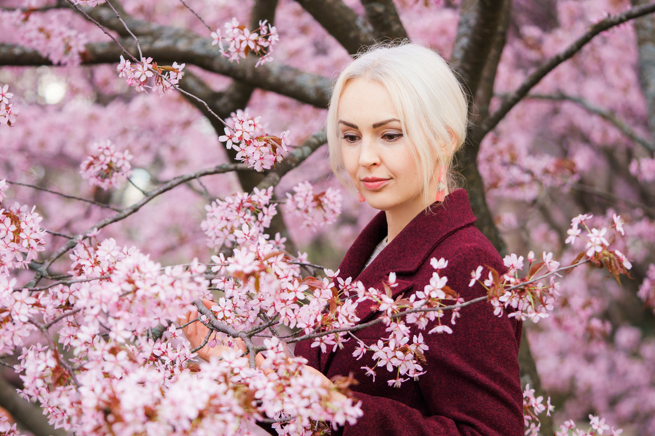 Muotokuvaus kirsikkapuistossa