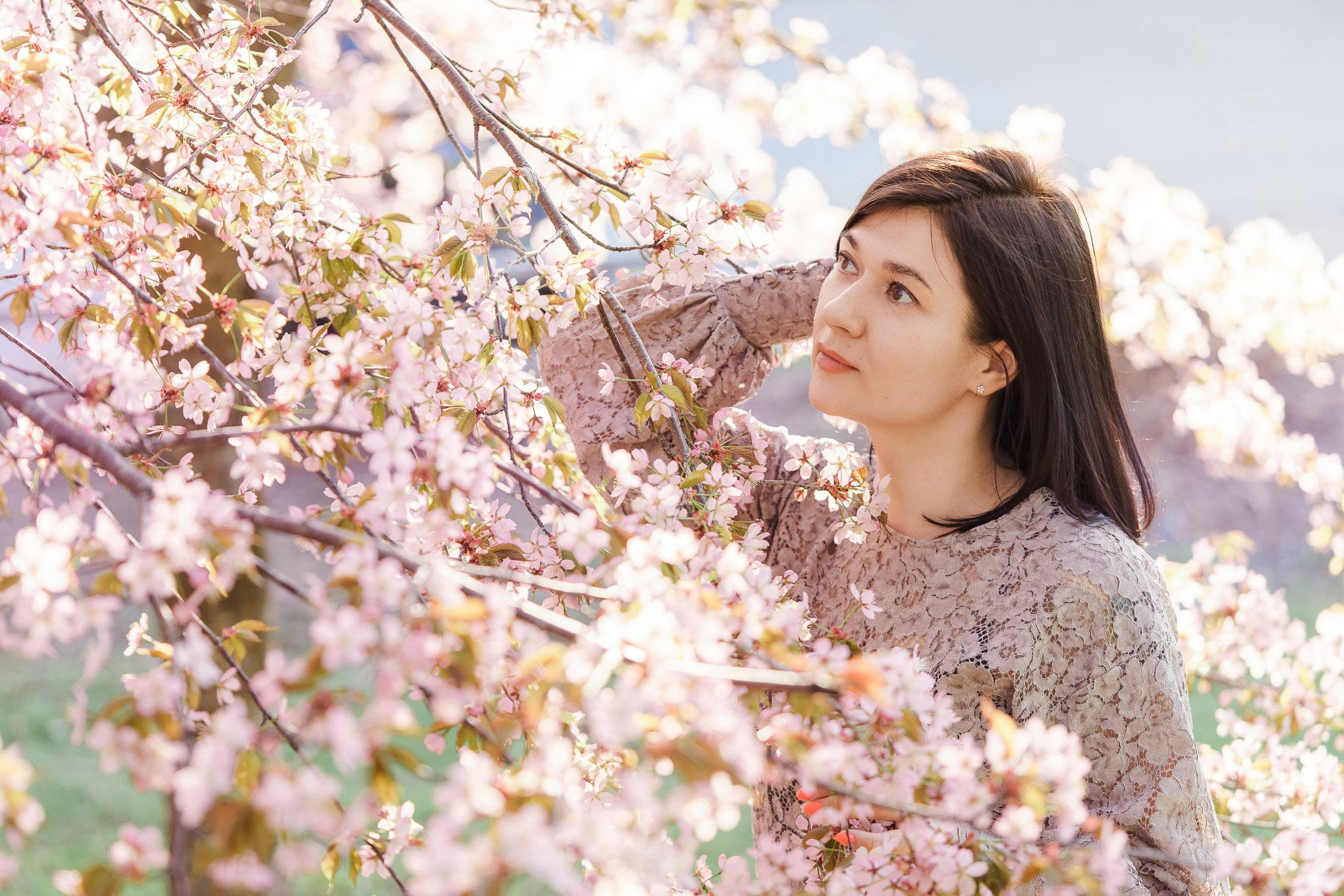 Aiti- lapsikuvaus kirsikkapuistossa