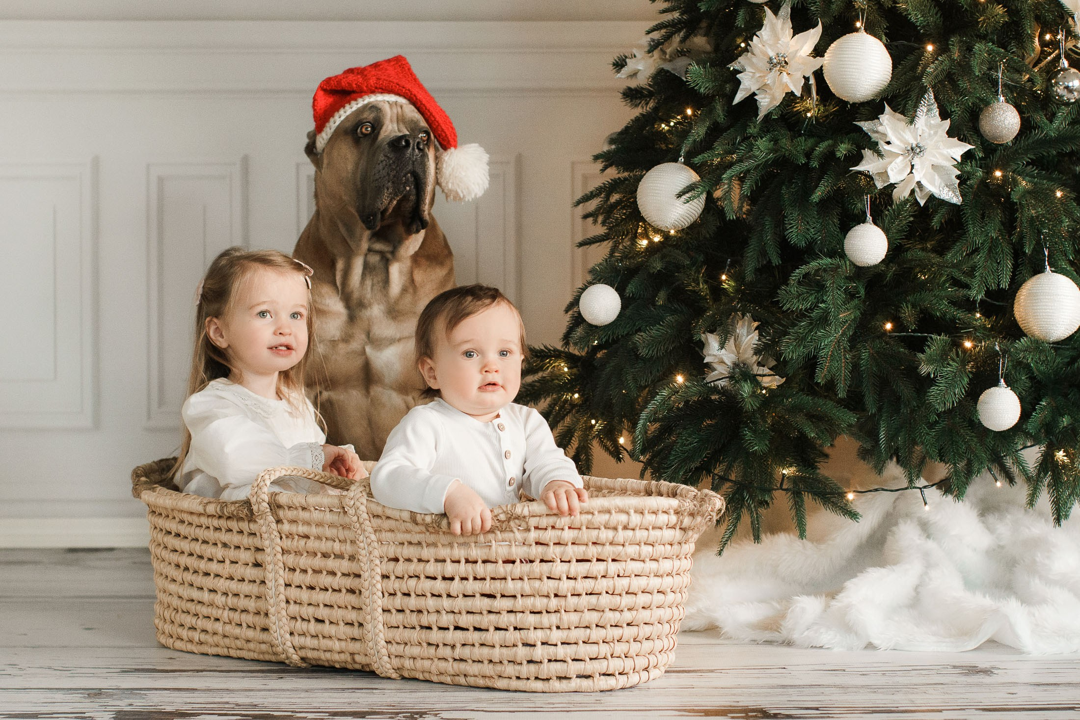 joulukorttikuvaukset 2023 Espoossa